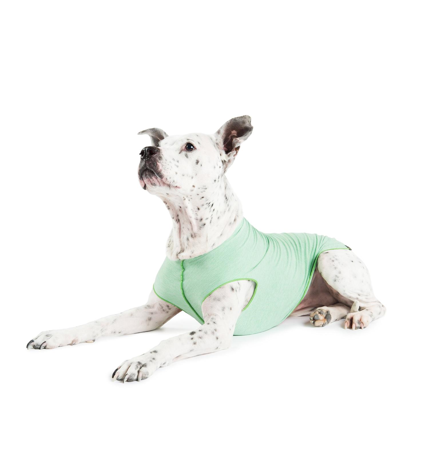 Gold Paw Sun Shield Dog Tee - Size 10 Pistachio | UV Protection, Anxiety Relief, Wound Care, Foxtail Protection, Alopecia Aid | Machine Washable, All Season | Pack of 1 - Buy Online on GoSupps.com