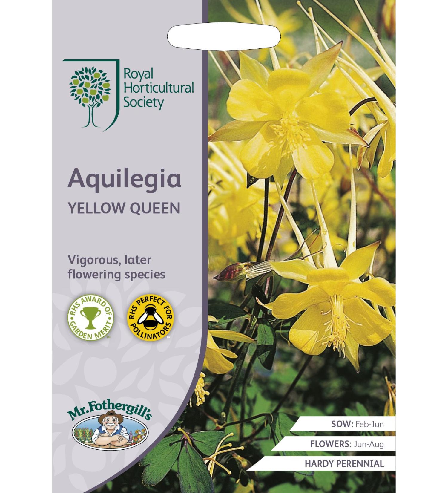 Mr Fothergill's - RHS Aquilegia Yellow Queen - Buy Online on GoSupps.com