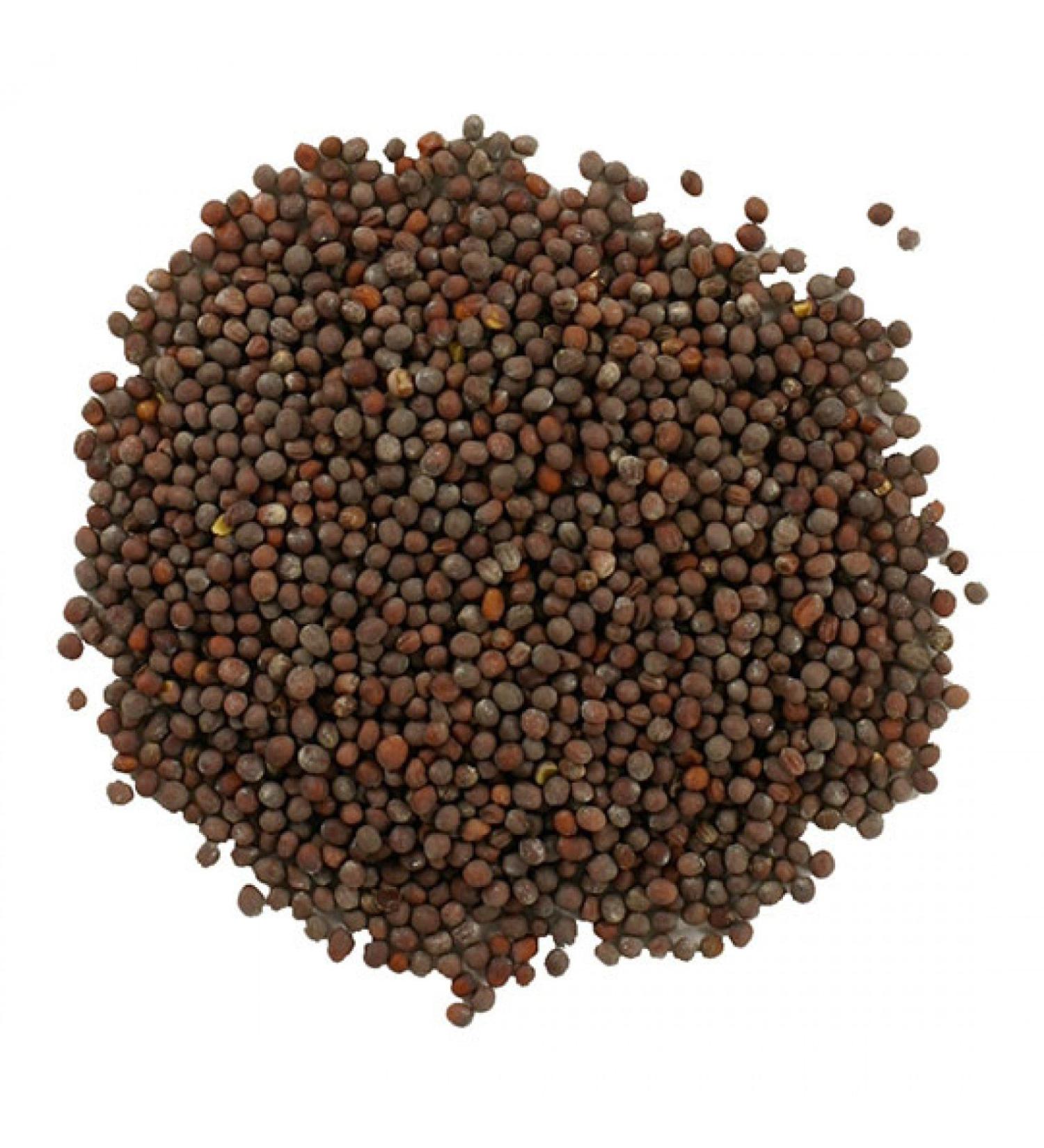 Frontier Co-op Organic Whole Brown Mustard Seed 1lb