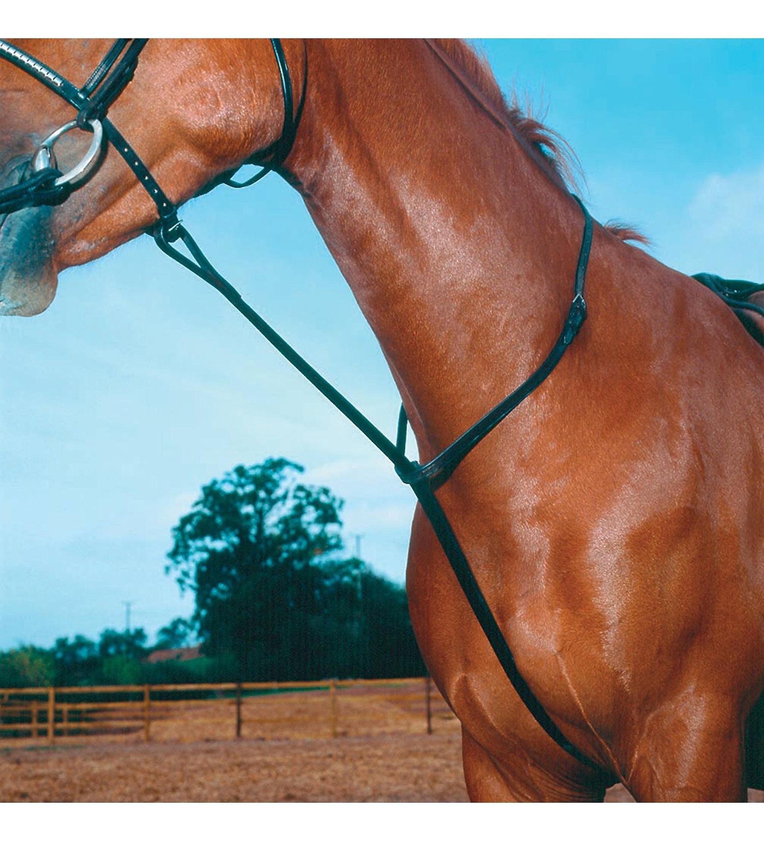Shires Equestrian - Blenheim Standing Martingale - Havana - Size: Cob
