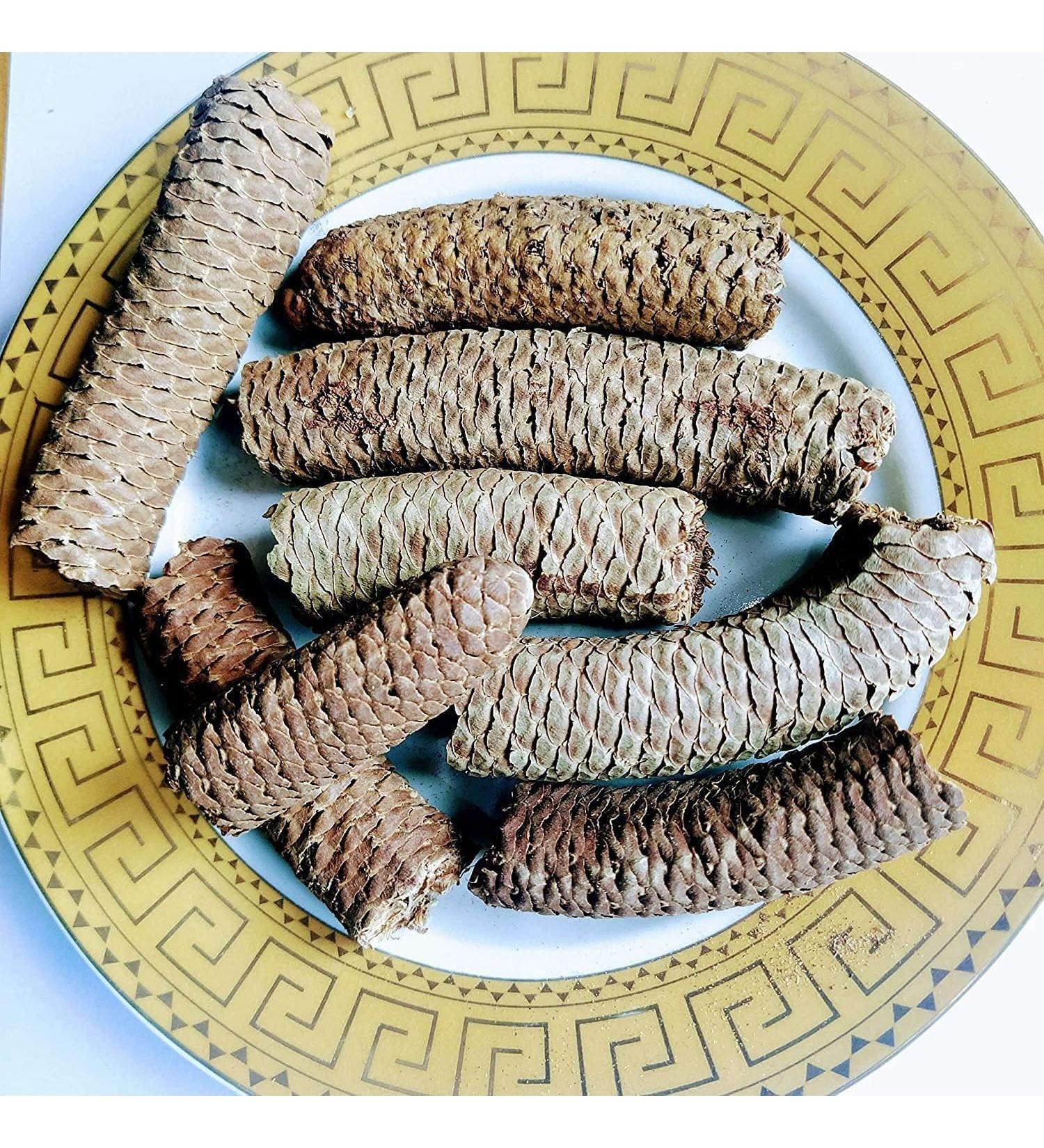 sm GAJ PIPAL - GAJPEEPAL - GAJPEEPAL - GAJ PEEPAL - SCINDAPSUS OFFICINALIS (100 GMS) - Buy Online on GoSupps.com