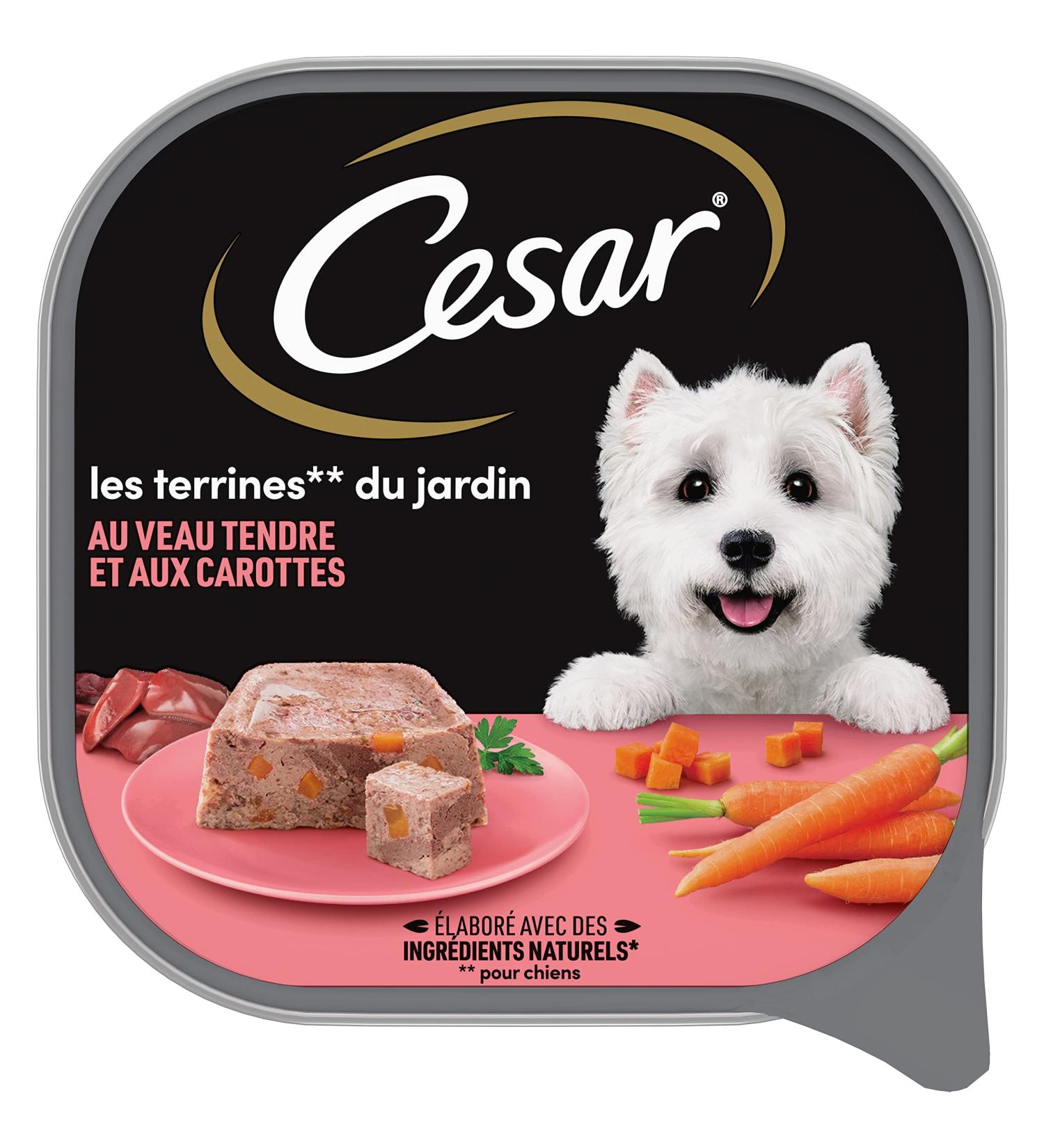 Cesar Veal Terrine for Dogs 300 g