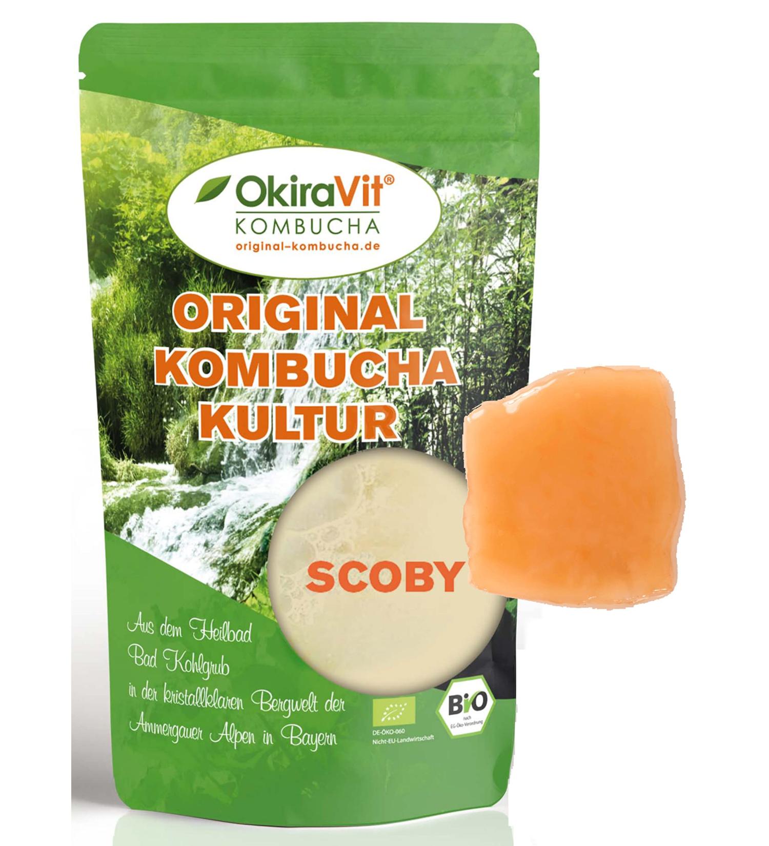 Original KOMBUSA TEEEPILZ - Premium Organic Kombucha Kit (3 Liters) | Eco-Friendly Brew Instructions & Growth Guarantee by Okiravit  - Buy Online on GoSupps.com