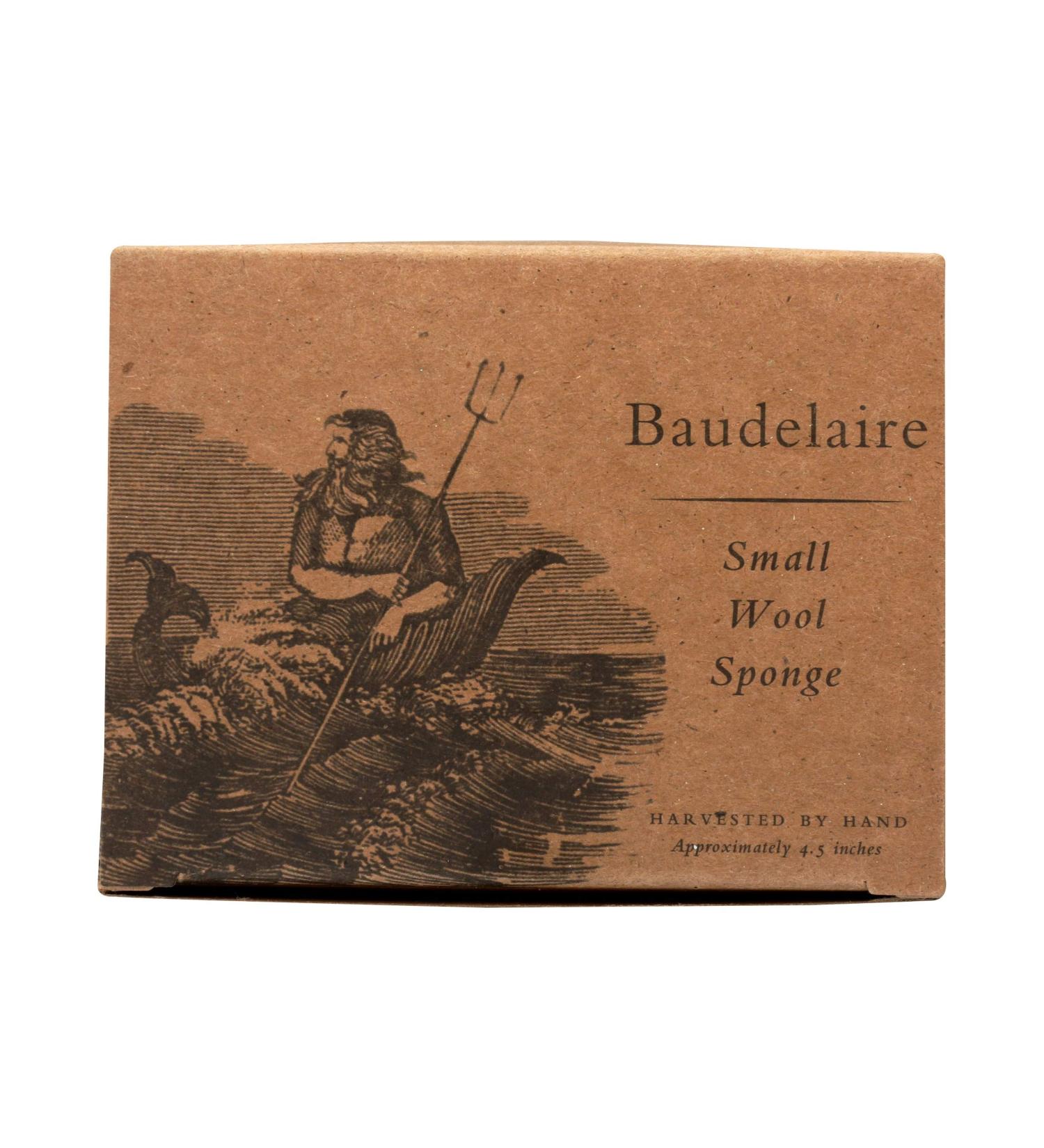 Wool Sponge Gift Box - 4.5 Inches | Eco-Friendly Gift for Any Occasion | International Shipping Available - Buy Online on GoSupps.com