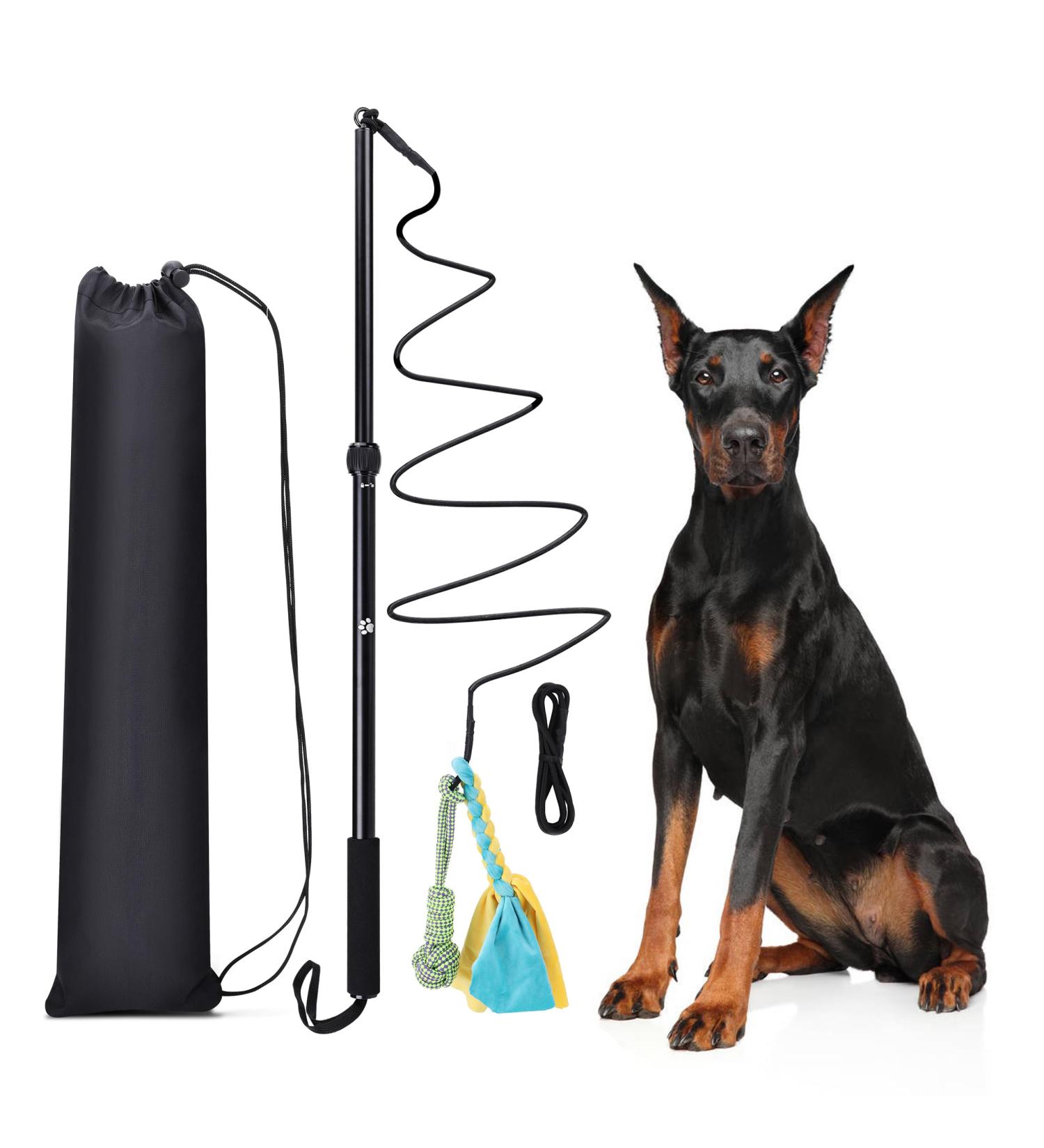 KOXXUD Dog Toys for Big & Small Dogs - Professional Charm by Martin R tter | Ultimate Fun & Physical Utilization - Buy Online on GoSupps.com