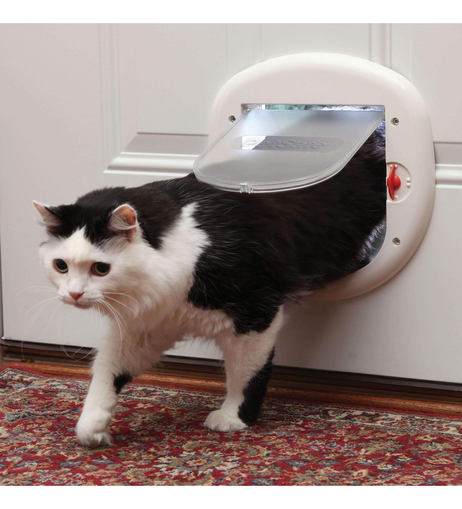 PetSafe Big Cat 4-Way Locking Interior/Exterior Cat Door - Tinted Flap for Large Cats - Weatherproof & Durable - Easy DIY Install - Buy Online on GoSupps.com