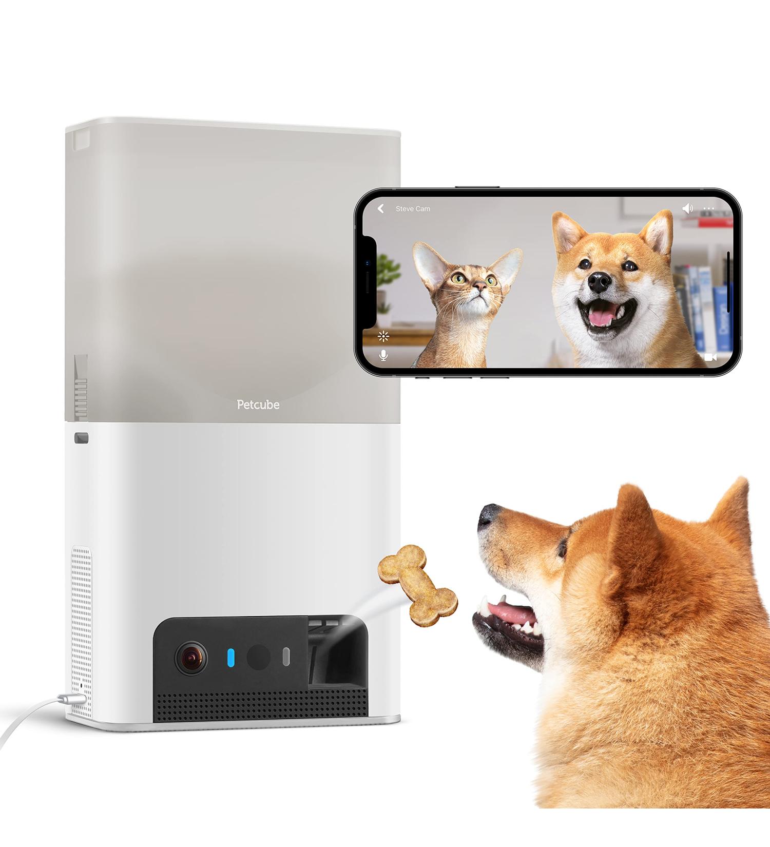 Petcube Bites 2 Lite: Interactive WiFi Pet Camera with Treat Dispenser | 1080p HD Video, Night Vision, Two-Way Audio | Cat & Dog Monitor - Buy Online on GoSupps.com