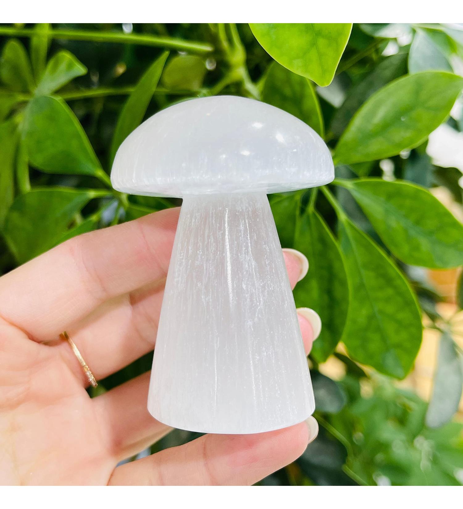 Specimen Natural Selenite Crystal Quartz Polished Mushroom Gypsum Crafts Decoration Reiki Crystal Stone - Buy Online on GoSupps.com