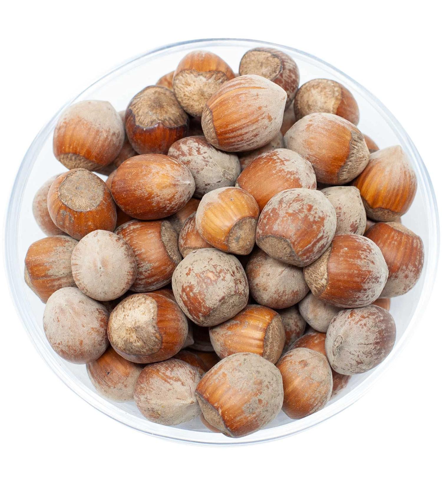 Leim ller hazelnuts with shell 5 kg |A species -appropriate squirrel food from Austria |Favorite food from squirrels |Natural hearing annual feed with valuable nutrients