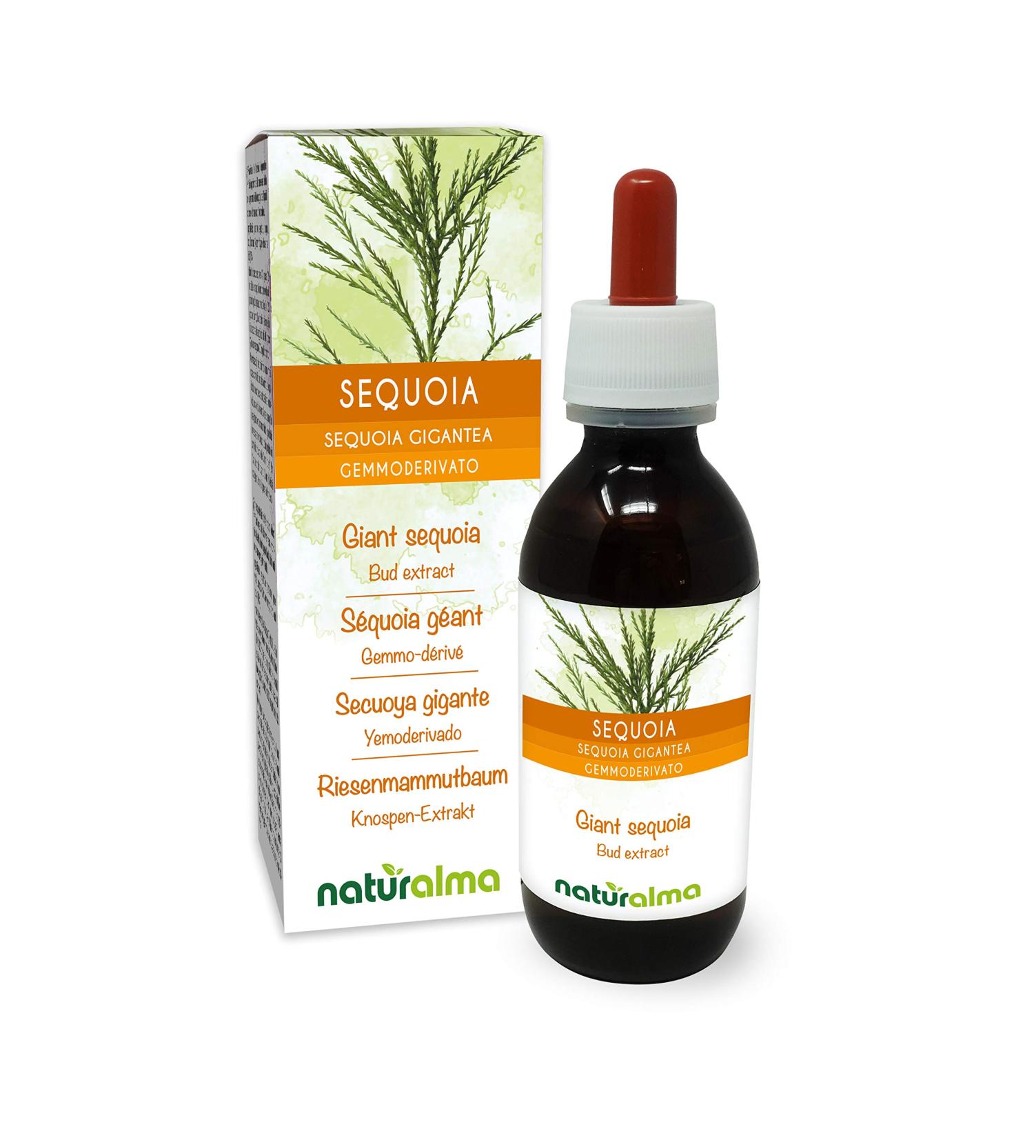 Giant Sequoia (Sequoia gigantea or Sequoiadendron giganteum) Gemmo-derived alcohol-free from fresh buds Naturalma - Liquid extract drops 120 ml - Dietary supplement - Vegan - Vegan - Buy Online on GoSupps.com