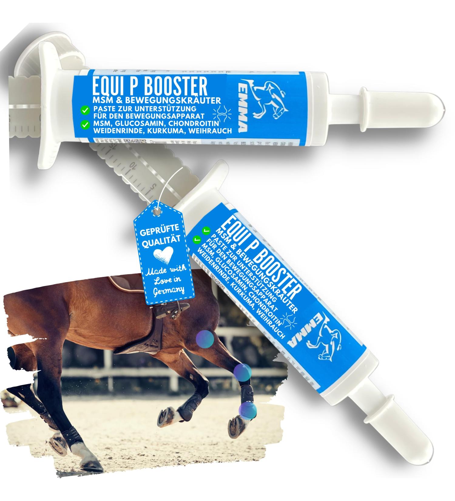 MSM Horse Willow Bark Horse Equi P Vitamin Paste Plus Glucosamine Chondroitin High Dose Horse Vitamin C Brewer's Yeast - Musculoskeletal System Joints Tendons Ligaments Cartilage 2pc - Buy Online on GoSupps.com