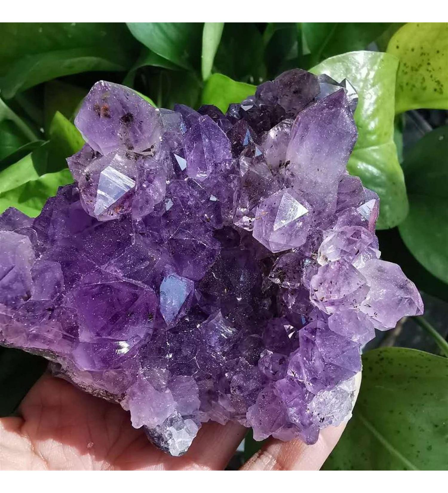Natural Crystal Rough 1pc Natural Amethyst Quartz Crystal Cluster Specimen (Color : 850g) - Buy Online on GoSupps.com