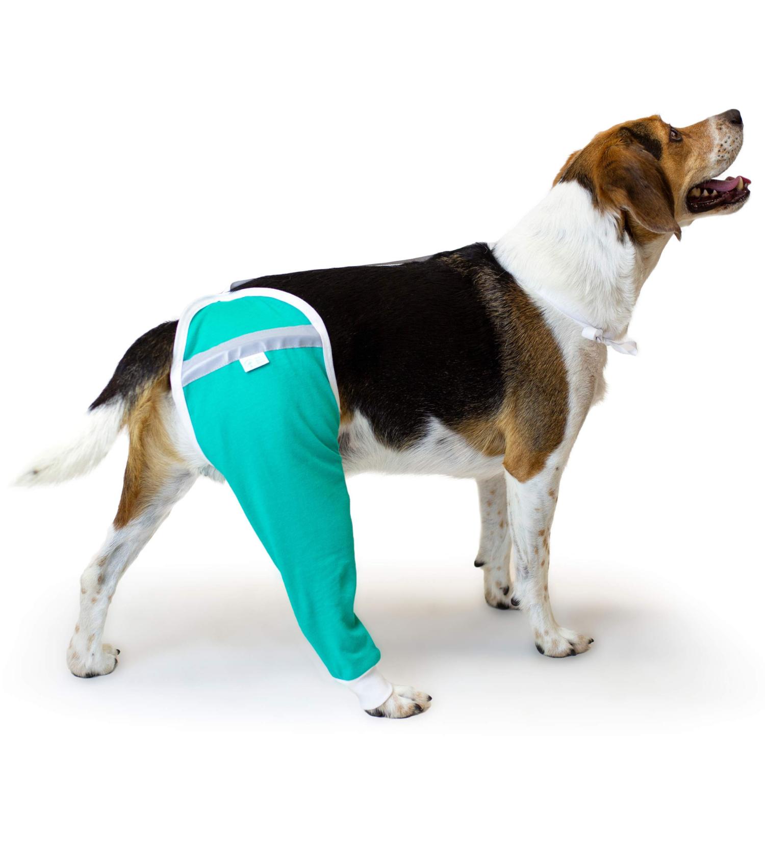 After Surgery Wear: Large Petrol Hip & Thigh Protective Cover for Dogs - Veterinarian Recommended Recovery Cuff - Buy Online on GoSupps.com