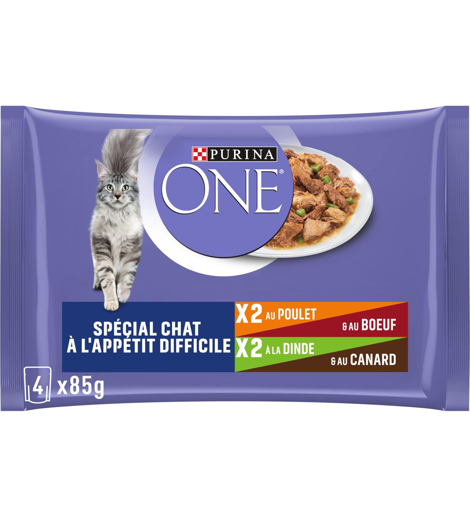PURINA ONE Cat with Hard Appetite Tapered in Sauce Assorted Flavors Chicken & Beef & Turkey & Duck | Adult Cat Meal Bags | 4 - Buy Online on GoSupps.com