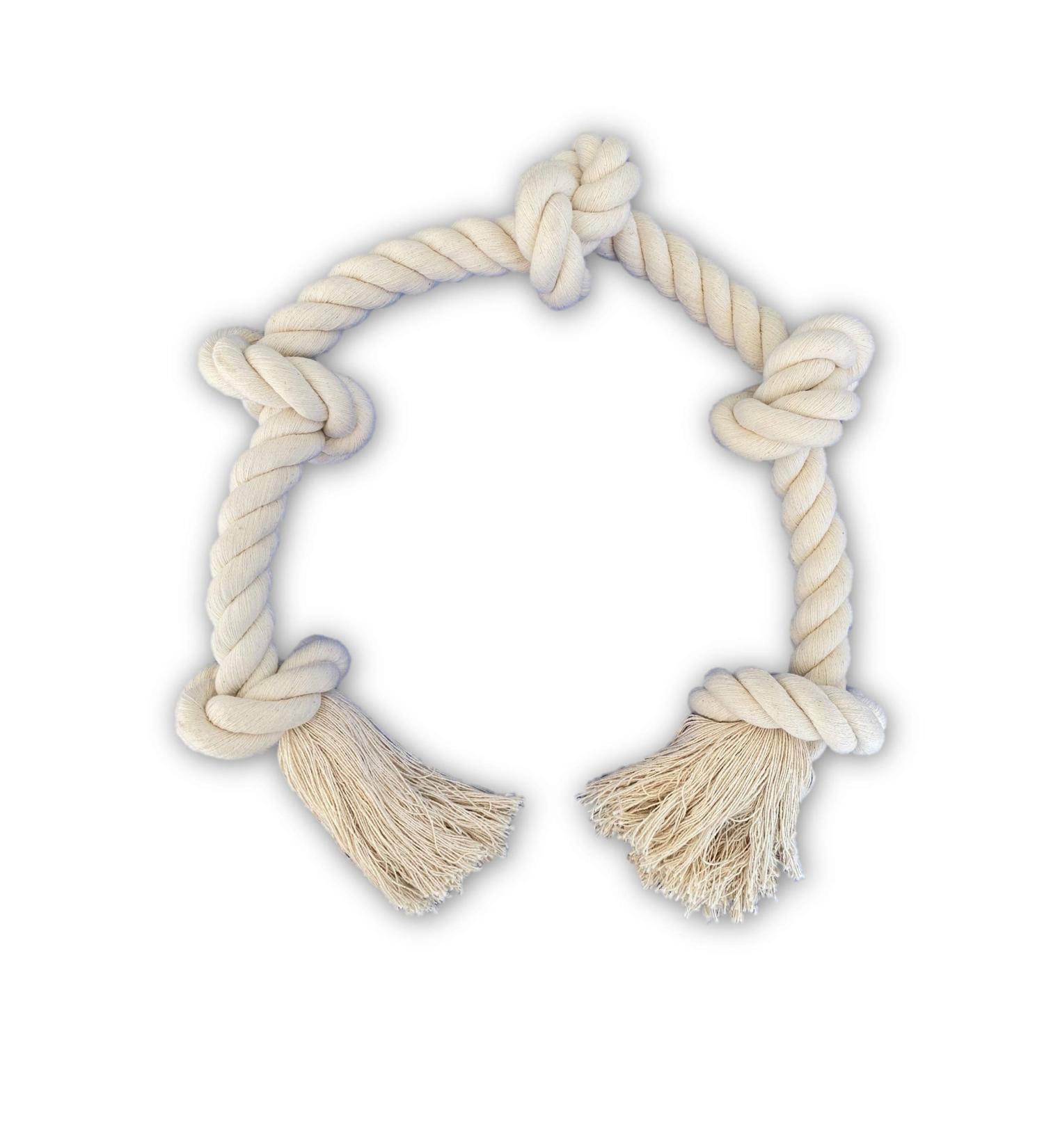Go Rilla Dog Toys Rope Set - Interactive Cake Player & Cleaning Toy for Medium/Large Dogs (XL Nature) - Durable Dew Dog Toys - Buy Online on GoSupps.com