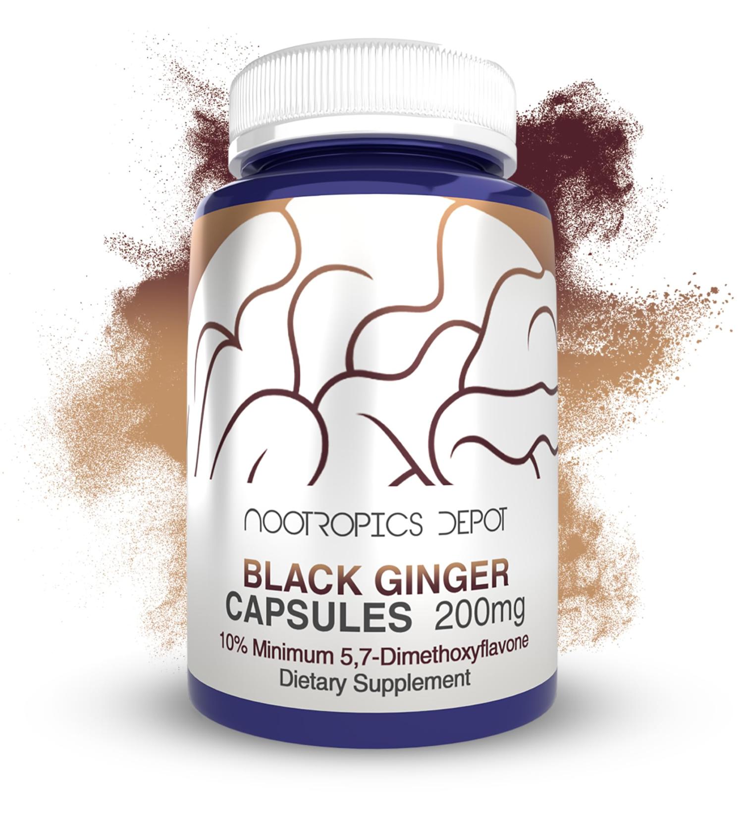 Nootropics Depot Black Ginger Extract Capsules | 10% 5 7-dimethoxyflavone | 60 Count 60 Count (Pack of 1) - Buy Online on GoSupps.com