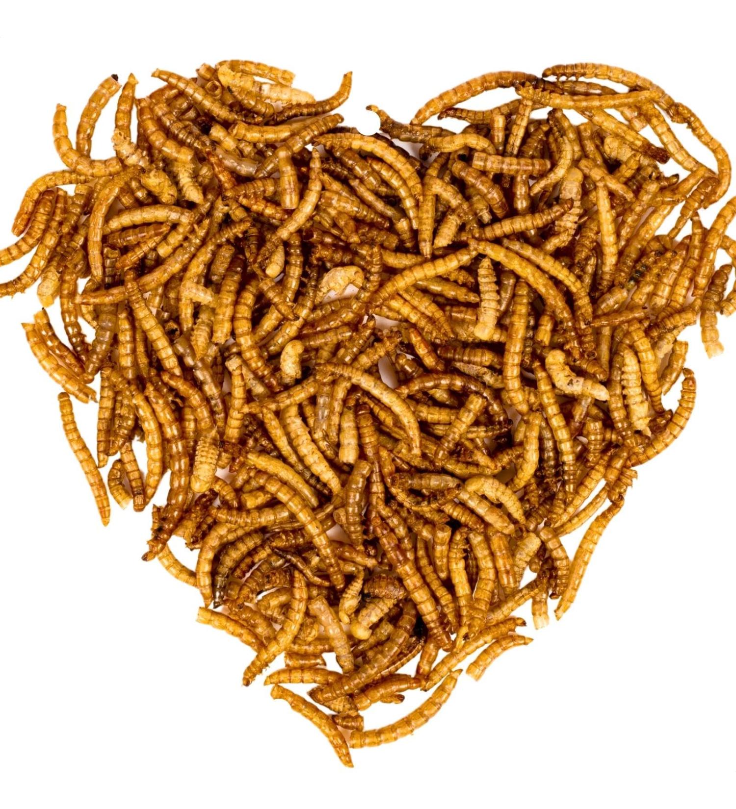 Lyra PET Mealworms 2 x 1 kg | Premium Fish Feed for Decorative & Pond Fish | High Protein Vitamins & Minerals | Perfect Nutrient-Rich Energy Source for KOI - Buy Online on GoSupps.com