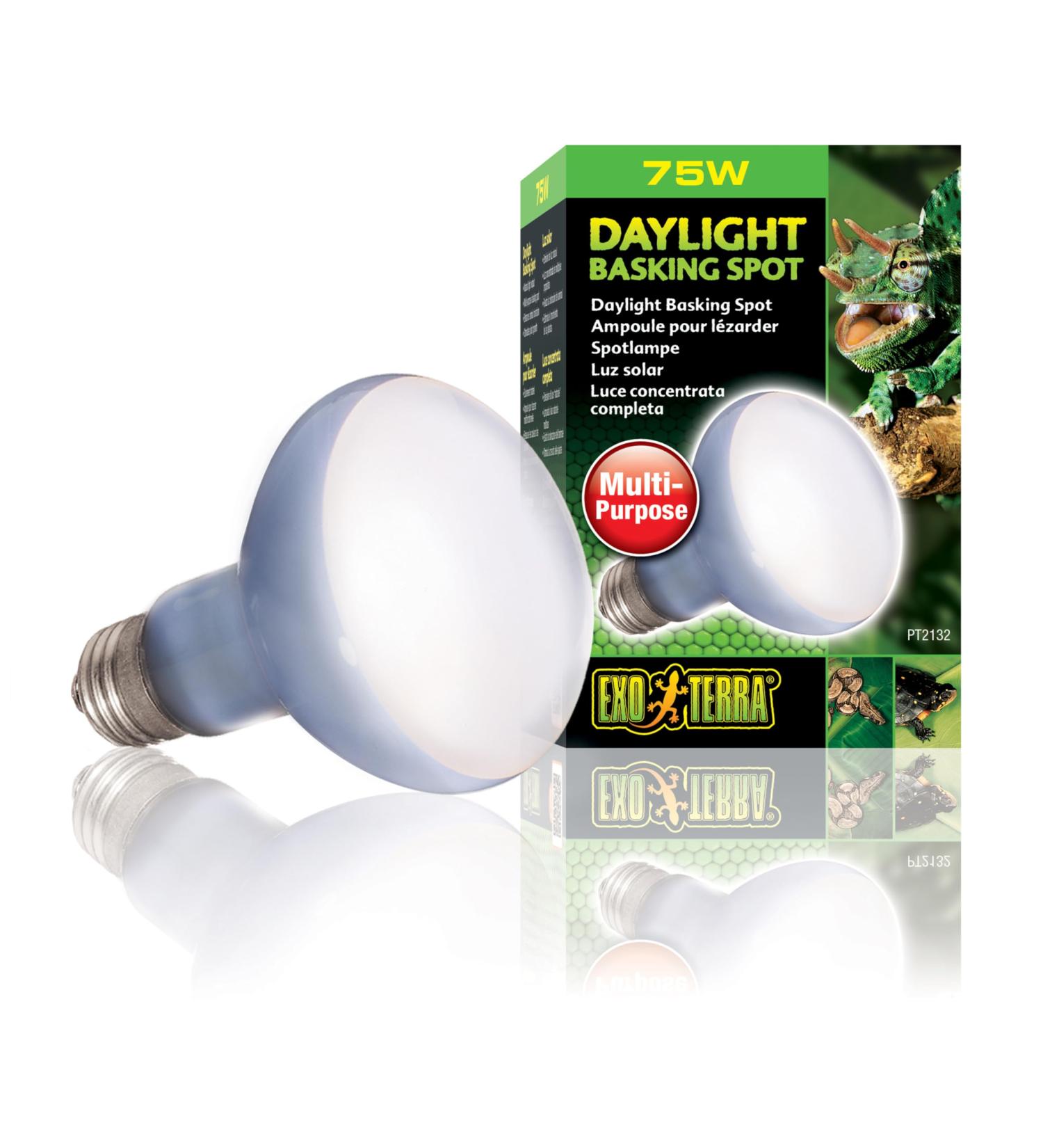 Exo Terra Daylight Basking Spot broad spectrum daylight lamp R20 75W socket E27