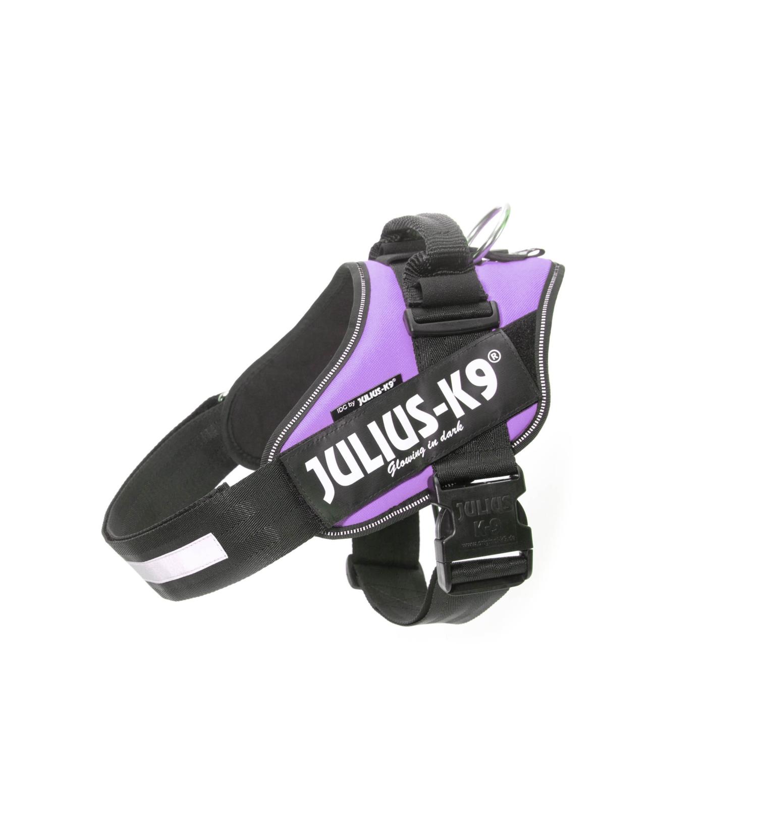 Buy IDC Powerharness 3XL/4 in Purple | Premium International Shipping Available - Buy Online on GoSupps.com