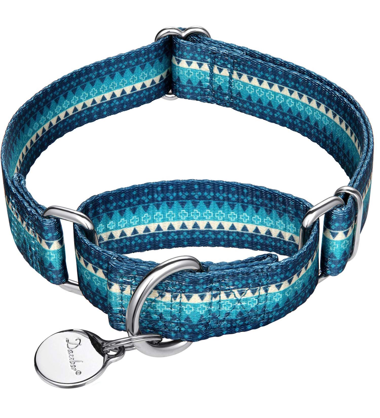 Dazzber Martingale Dog Collar for Medium & Large Dogs - No Pulling Durable Nylon Adjustable 43.2-63.3 cm Turquoise Green 1 Inch Wide - Buy Online on GoSupps.com