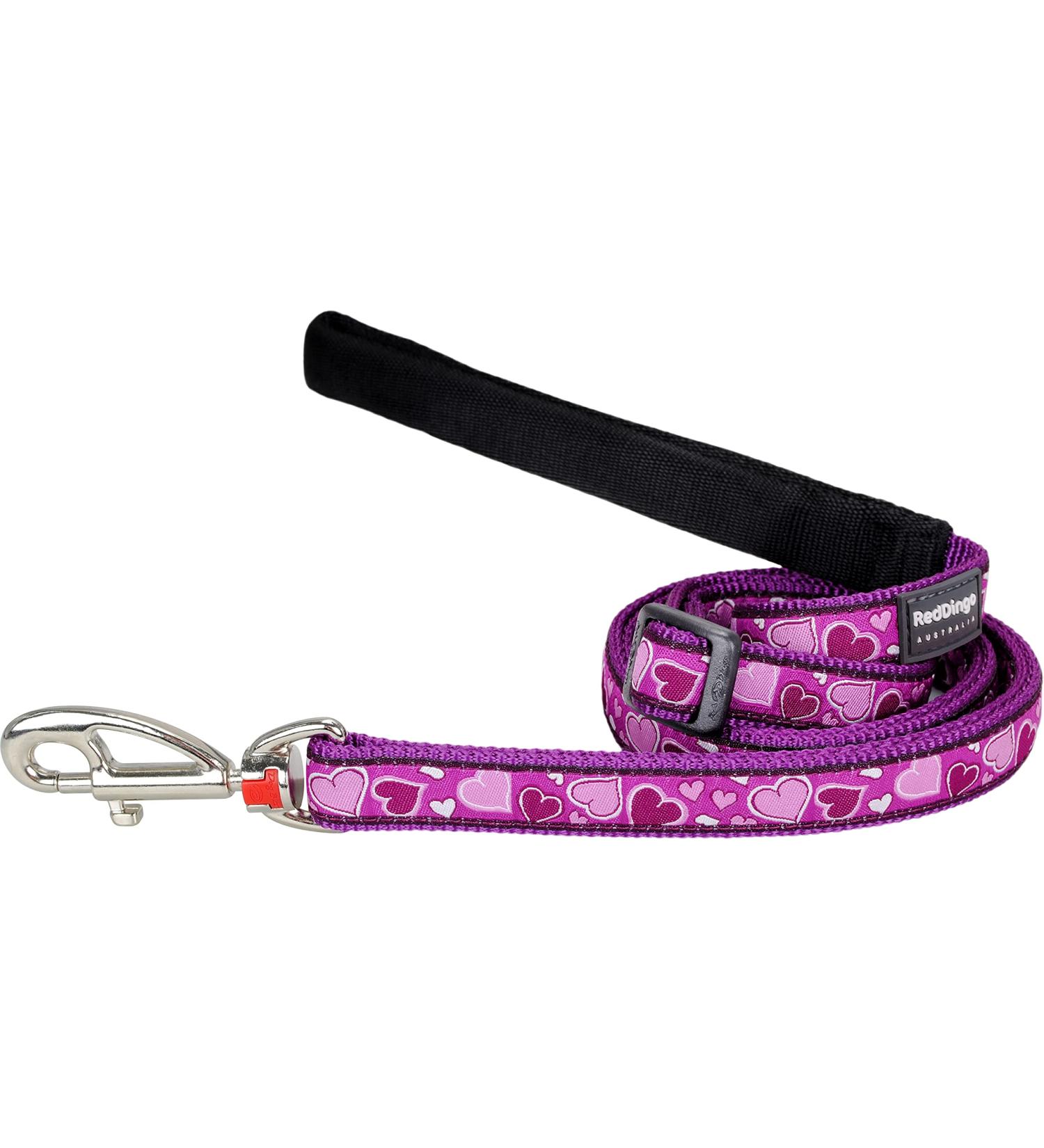 Red Dingo Lead, Breezy Love, Purple, 20mm,L6-BZ-PU-20
