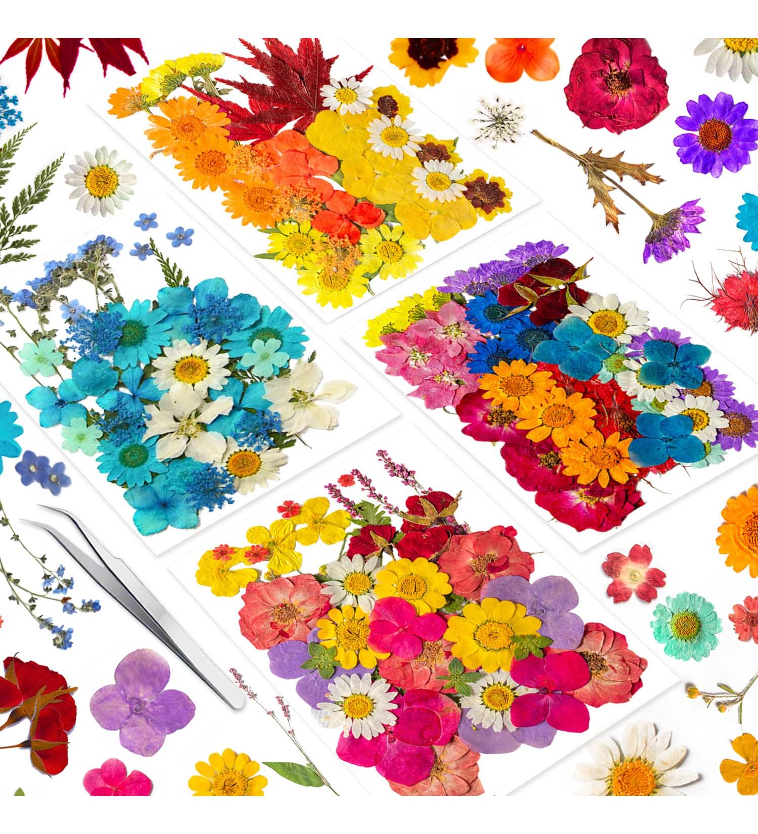 141PCS Real Nature Dried Pressed Flowers for Resin Mold - DIY Jewelry, Nail Art & Scrapbook Decor - Buy Online on GoSupps.com