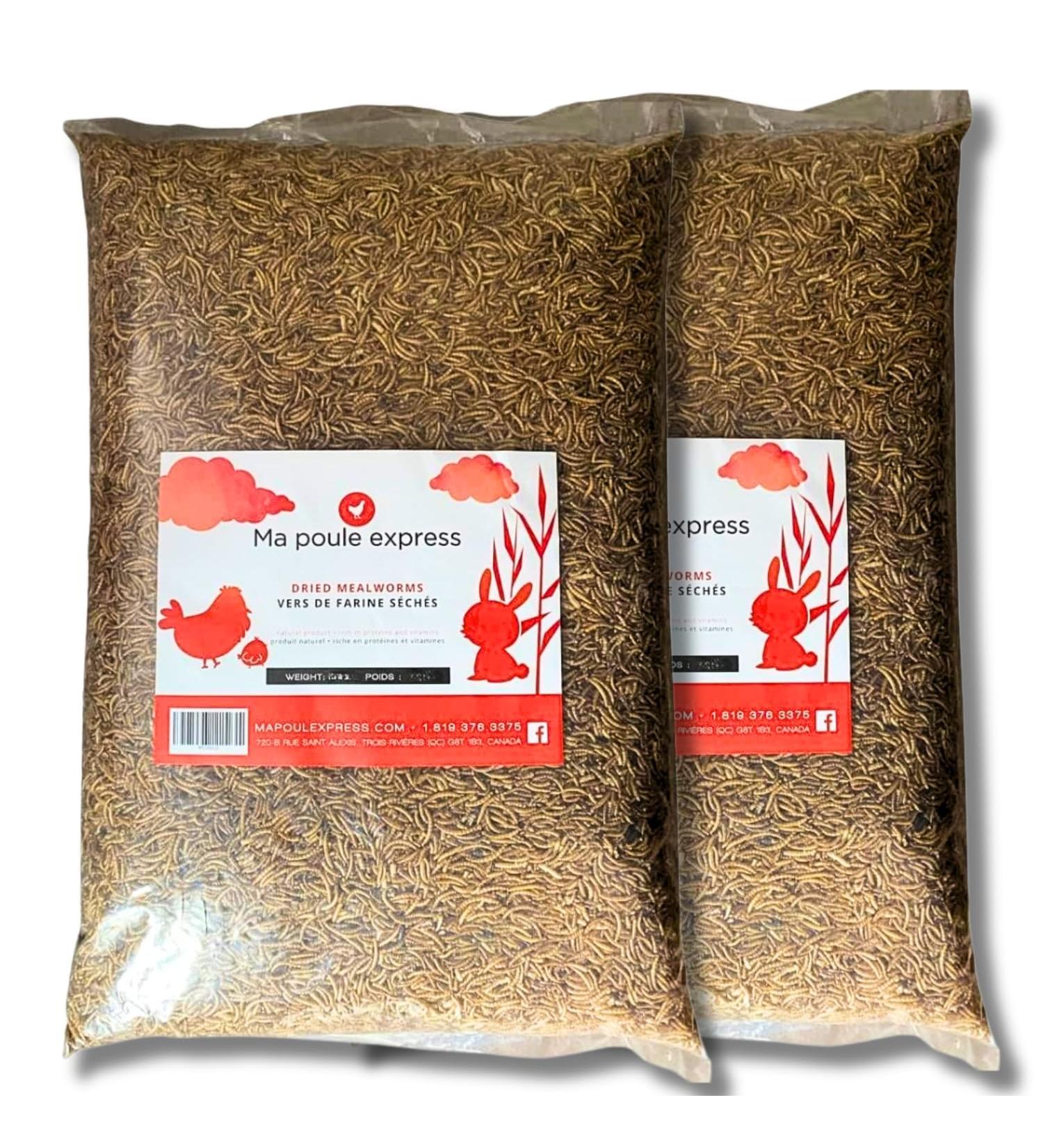Natural Dried Mealworms for Birds and Chickens All Seasons for Wild Birds and Hens - Ma Poule Express (22 Lbs) 9.96 kg (Pack of 1) - Buy Online on GoSupps.com