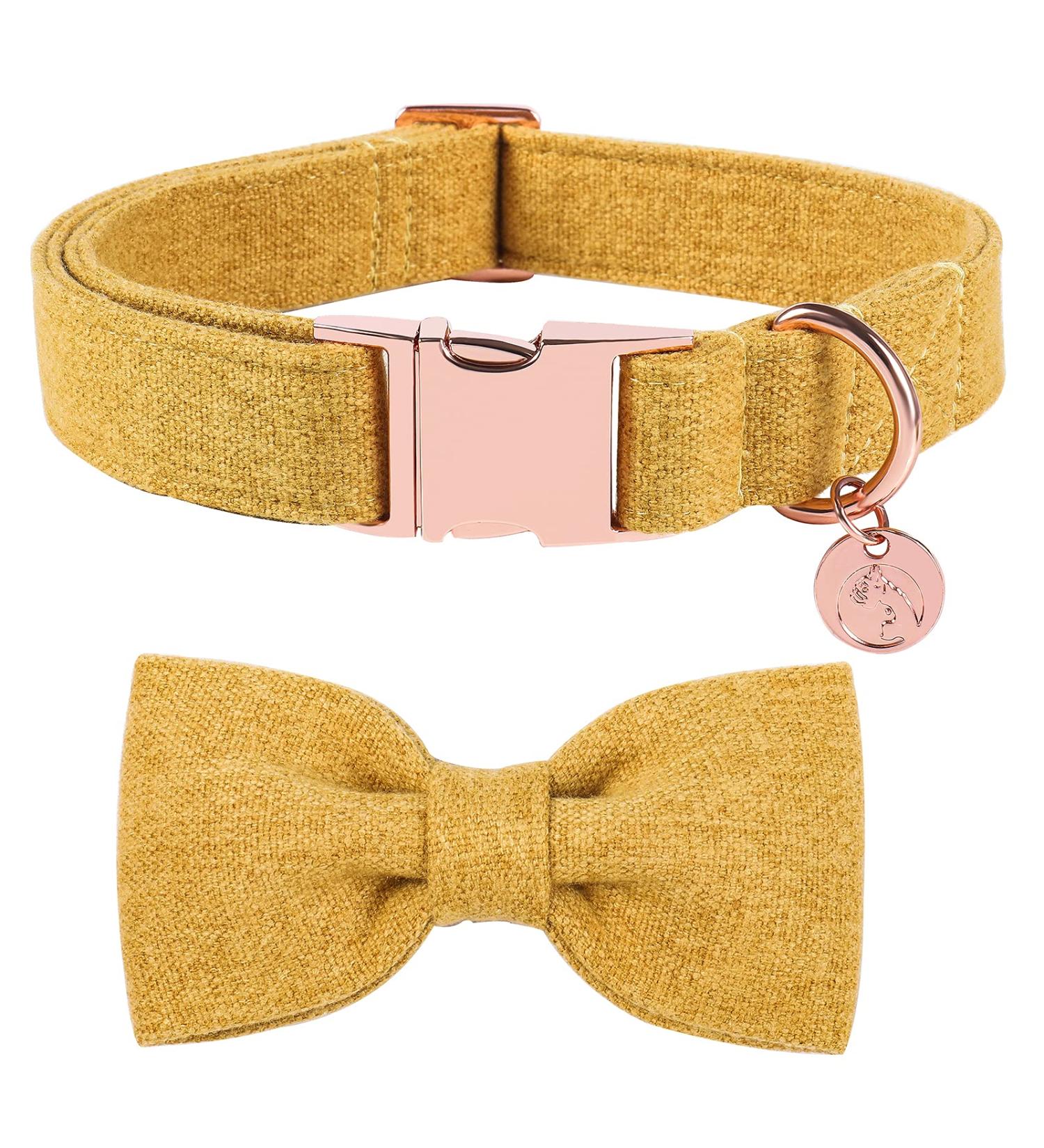 Dogwong Yellow Dog Collar with Removable Fly | Adjustable & Comfortable Collar for Small to X-Large Dogs | Perfect Gift for Dog Lovers - Buy Online on GoSupps.com