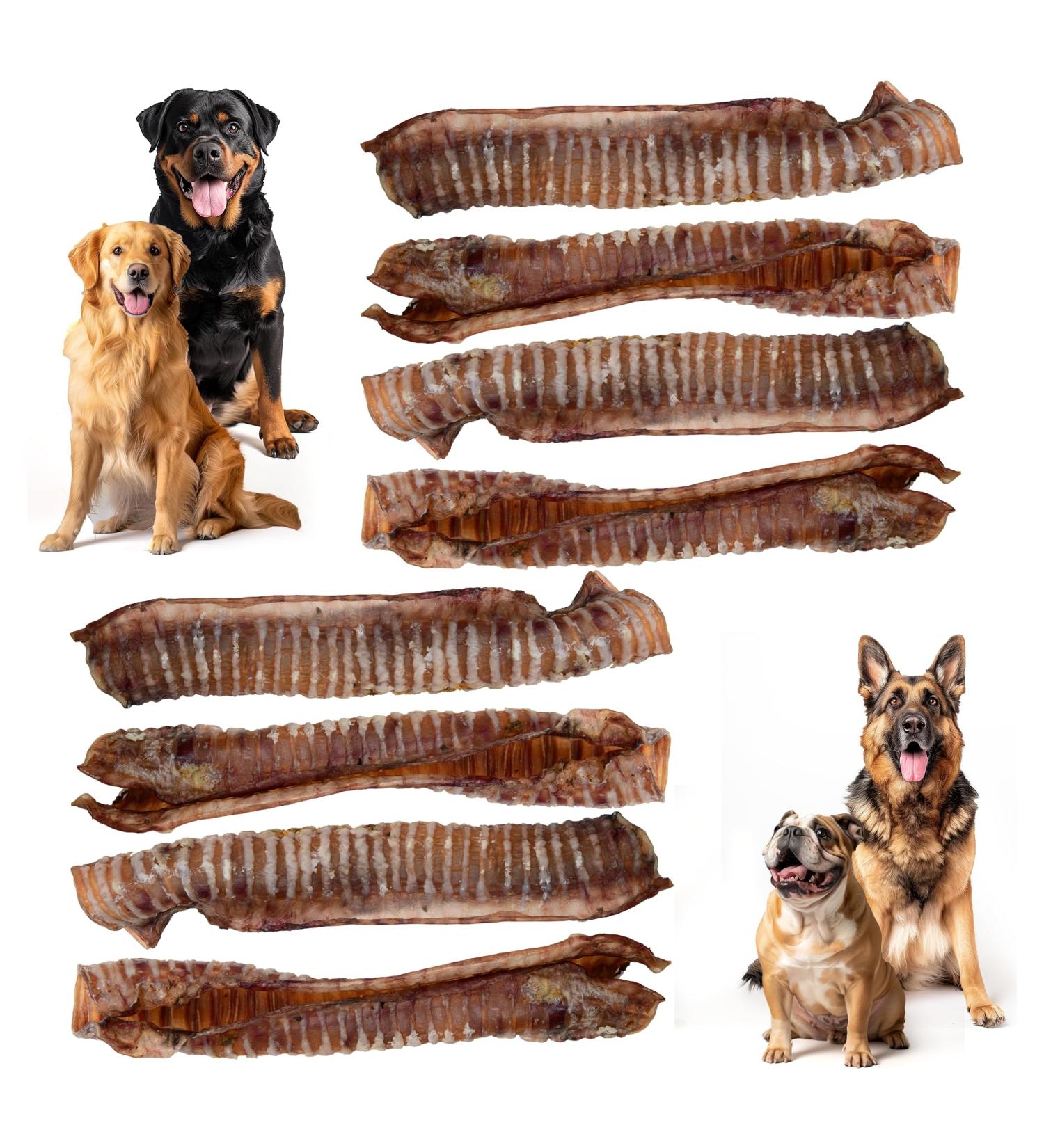 Premium Feeders Beef Trachea for Dogs 8 Smoked Beef Tracheas 9 to 11 inch - Made in Canada - Natural Loyalty Dog Treats for Large Dogs - Healthy Dog Chew Nutritional Tracheas for Joint Health - Buy Online on GoSupps.com