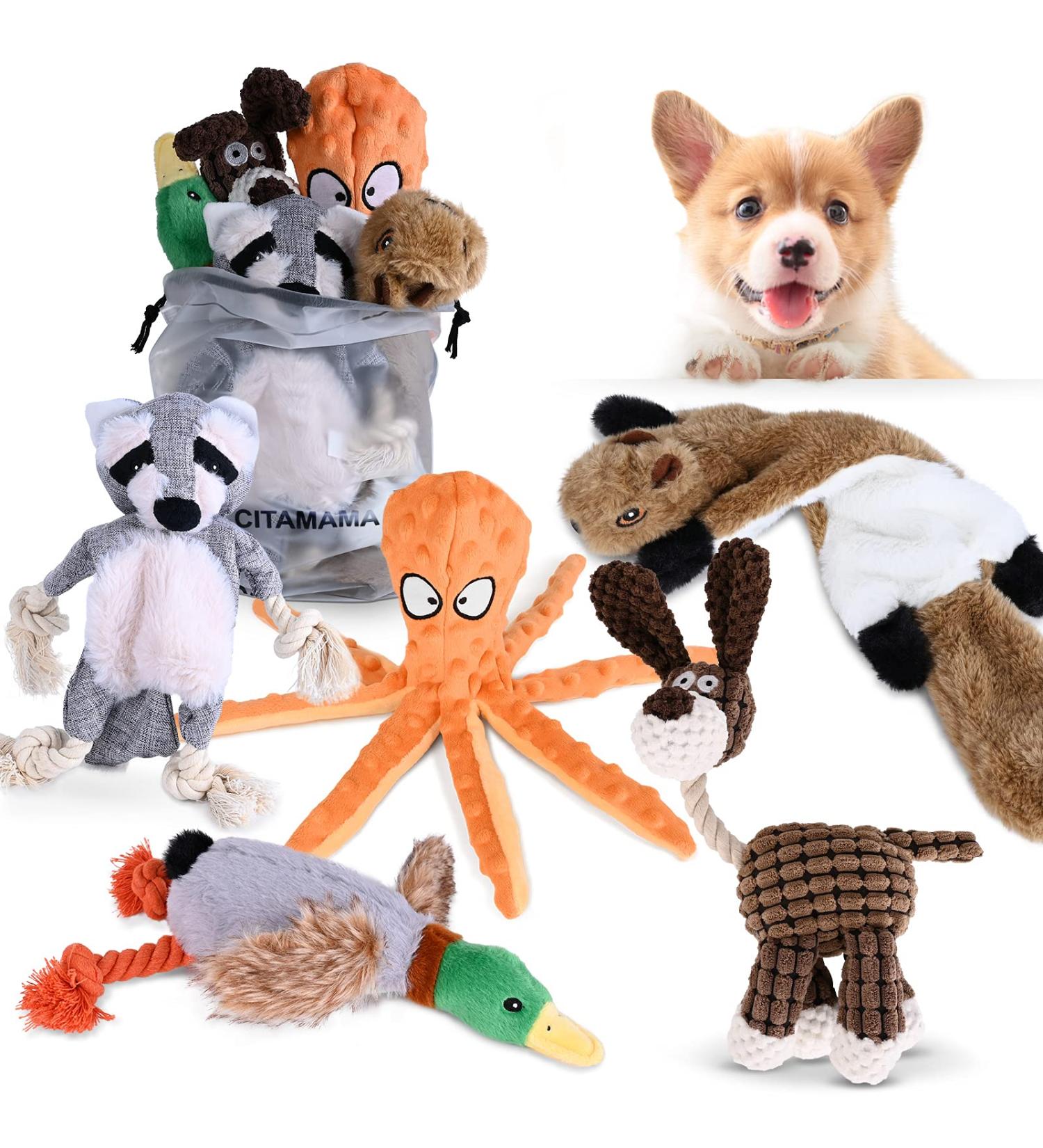 CITAMAMA Squeaky Dog Toys 5 Pack Plush Puppy Dog Toys Various Animals Shapes Training Toy Chew Toys for Puppy Small Dogs - Buy Online on GoSupps.com