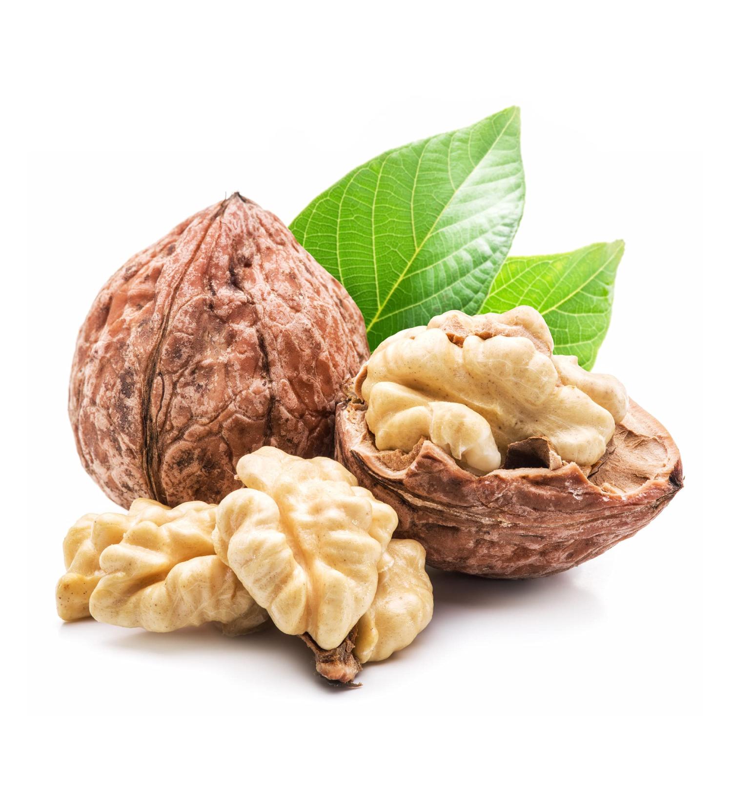 Quast Horseradish Grenoble Walnuts PDO - Premium French Walnuts 32+ (400g) | International Shipping - Buy Online on GoSupps.com