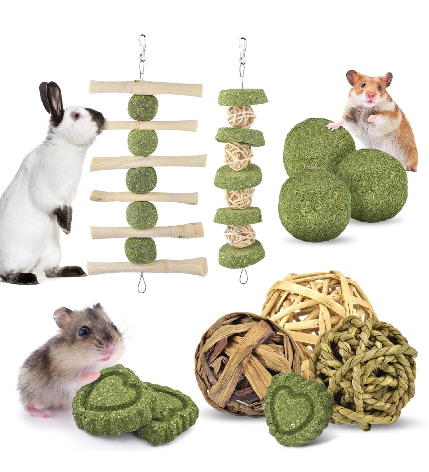 Erkoon Rabbit Chew Toys - 11-Piece Natural Apple Wood & Timothy Hay Set for Bunnies Chinchillas & Guinea Pigs - Dental Care & Fun! - Buy Online on GoSupps.com