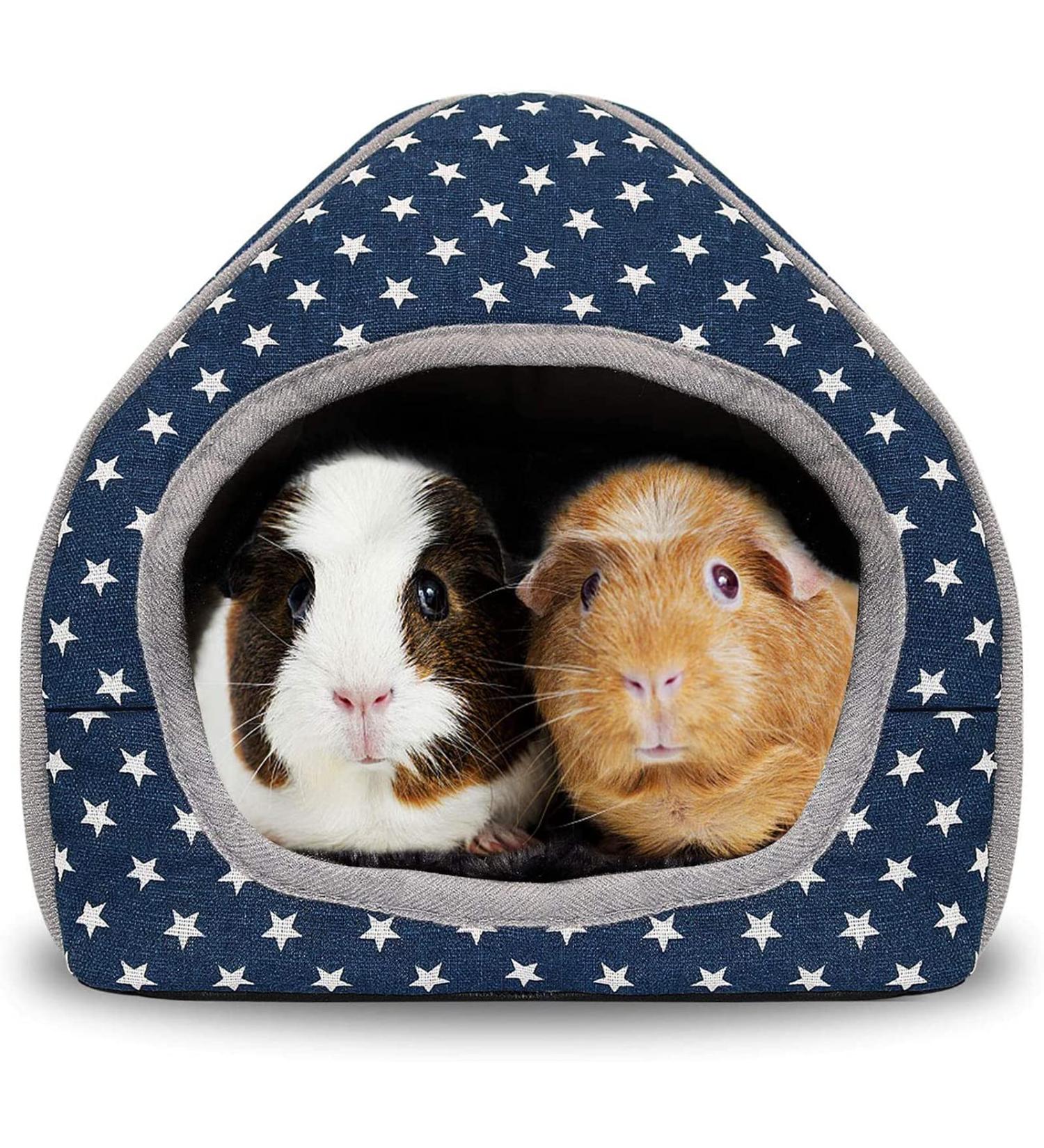 RANYPET Guinea Pig Bed Cave - Cozy Hamster House for Small Pets | Winter Nest & Hideout | Hamster Accessories Blue - Buy Online on GoSupps.com