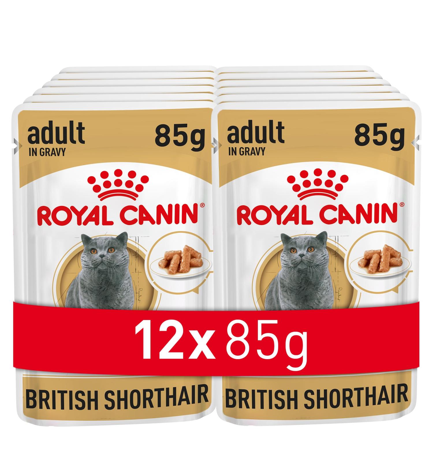 Royal Canin British Shorthair Wet Cat Food 85 g (Pack of 12) - Buy Online on GoSupps.com