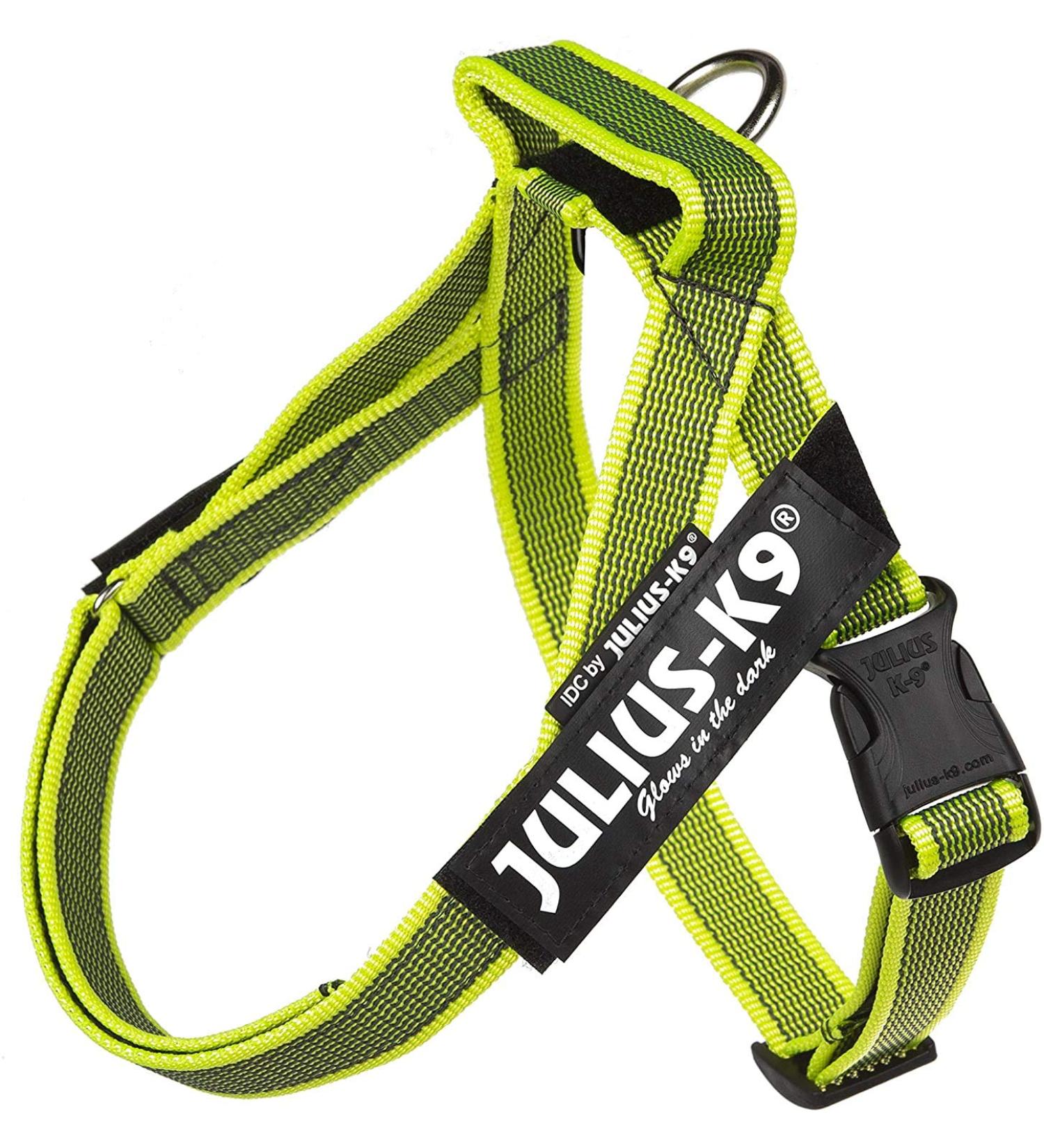 Buy Julius-K9 Belt Harness XS Mini-Mini Neon-Grey | Best Quality Dog Harness for Global Shipping - Buy Online on GoSupps.com