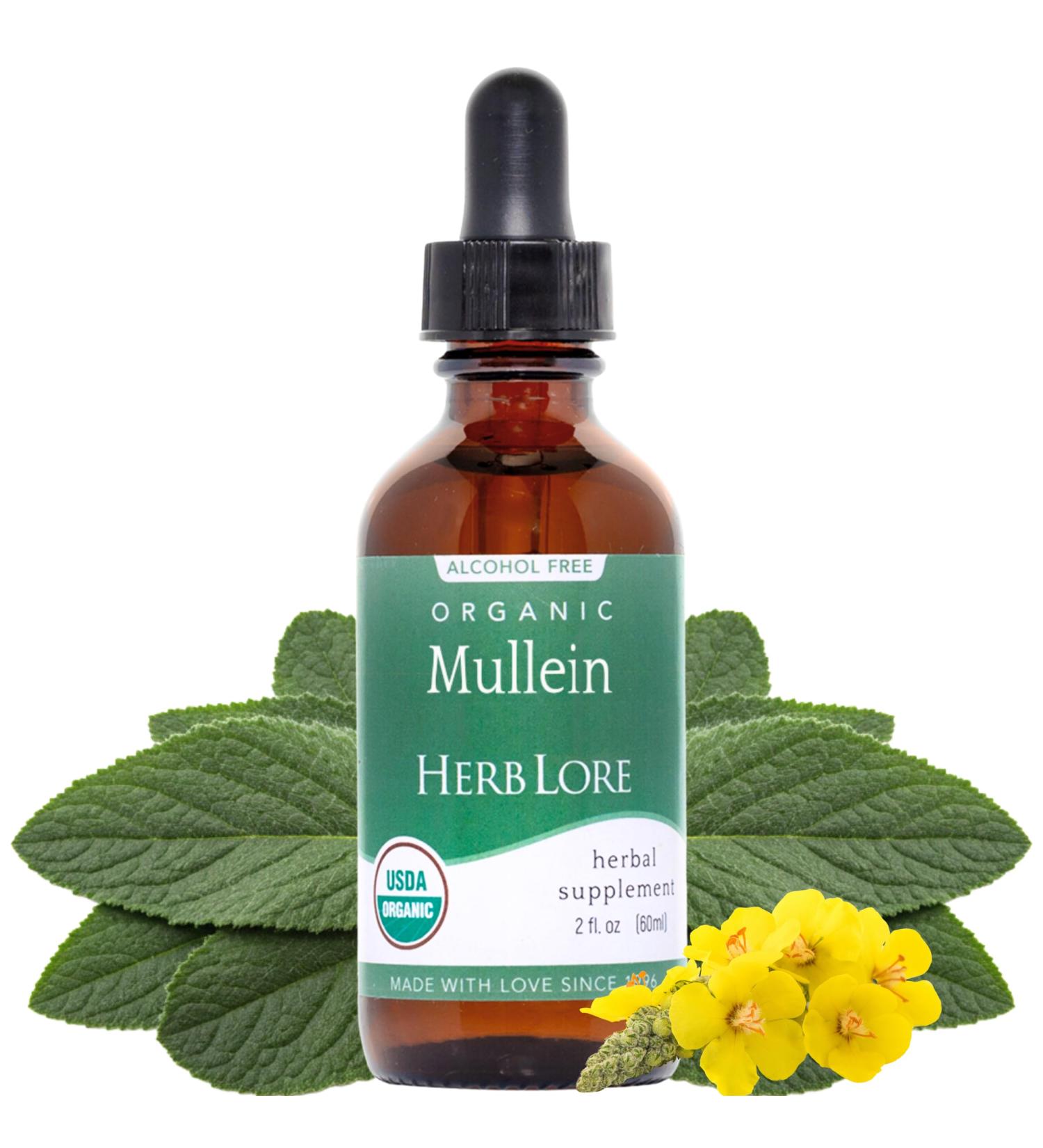 Herb Lore Mullein Tincture - Organic Mullein Drops for Lungs - Alcohol Free - 2 fl oz 2 Fl Oz (Pack of 1) - Buy Online on GoSupps.com