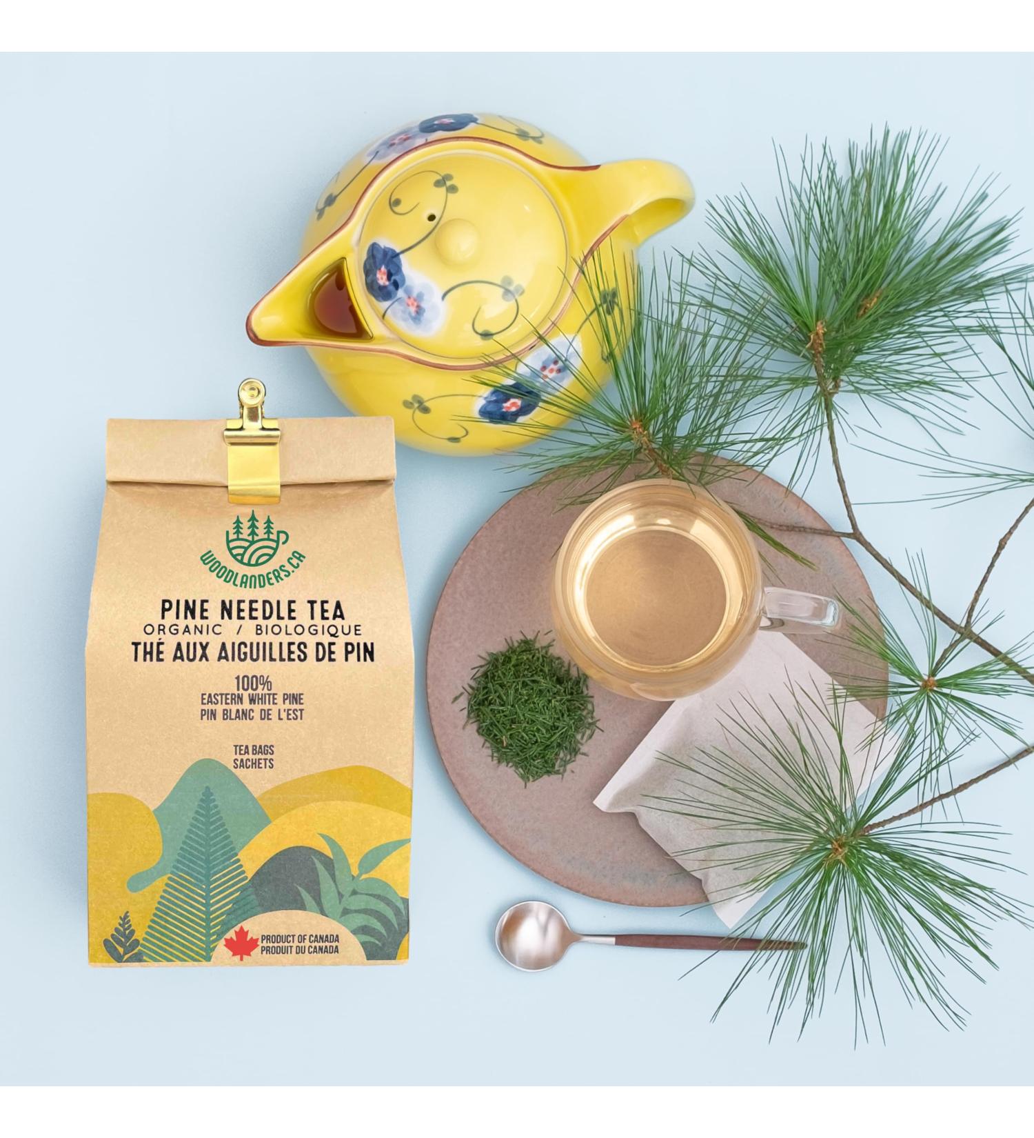 Organic Canadian Eastern White Pine Needle Tea (8g x 30 TEA BAGS) Fresh Pine Needle Tea and a Product of Canada - Buy Online on GoSupps.com