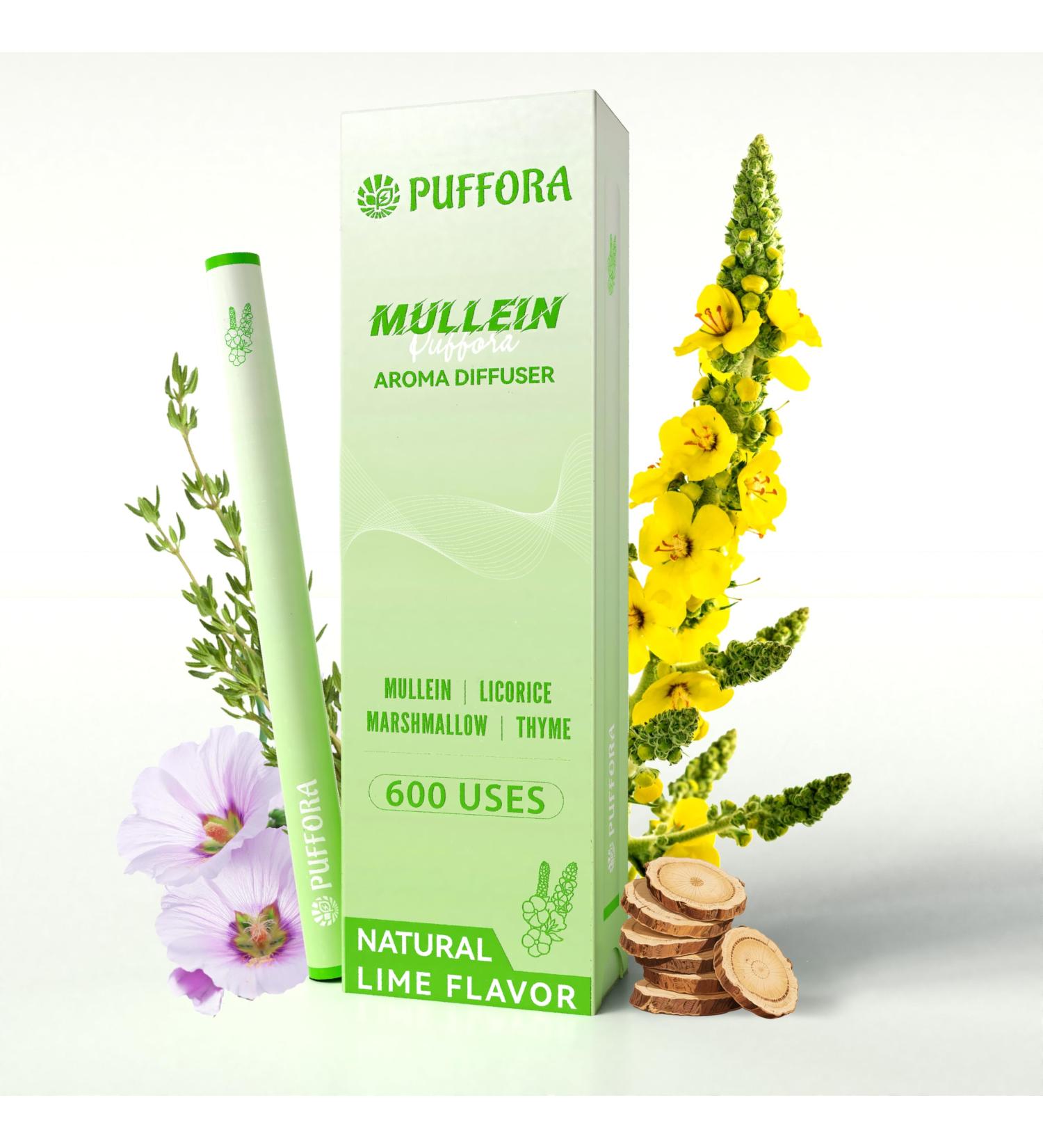 Herbal Diffuser Pen Supports Lung Rest & Wellness Breathing and Oral Air Freshening Plant Based-Mullein Licorice Root Marshmallow Root Thyme Leaf Mint Oil Natural Alternative - 600 Uses Breath 1 Pack - Buy Online on GoSupps.com