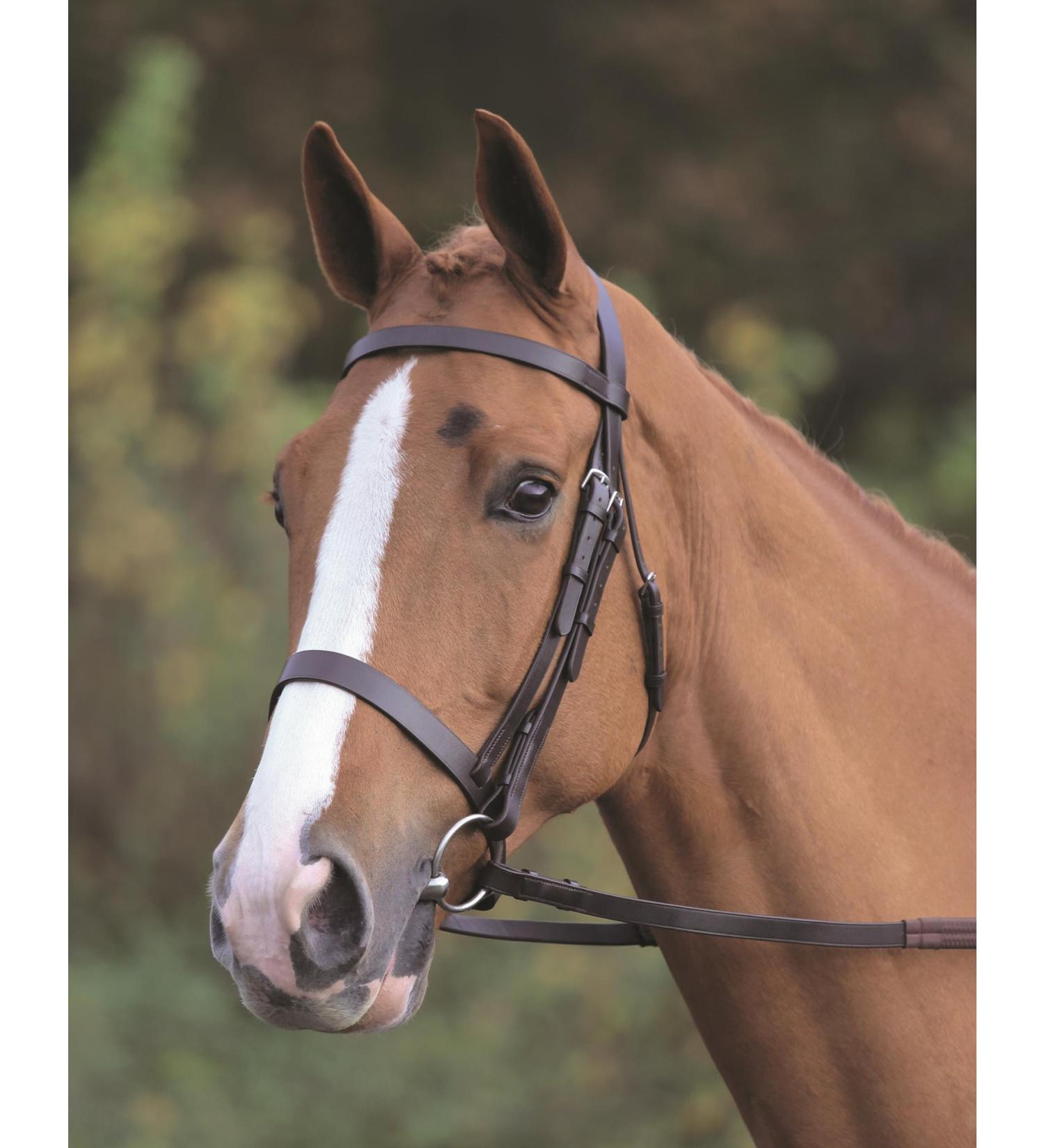 Shires Aviemore Plain Bridle With Rubber Grip Reins - Black Cob