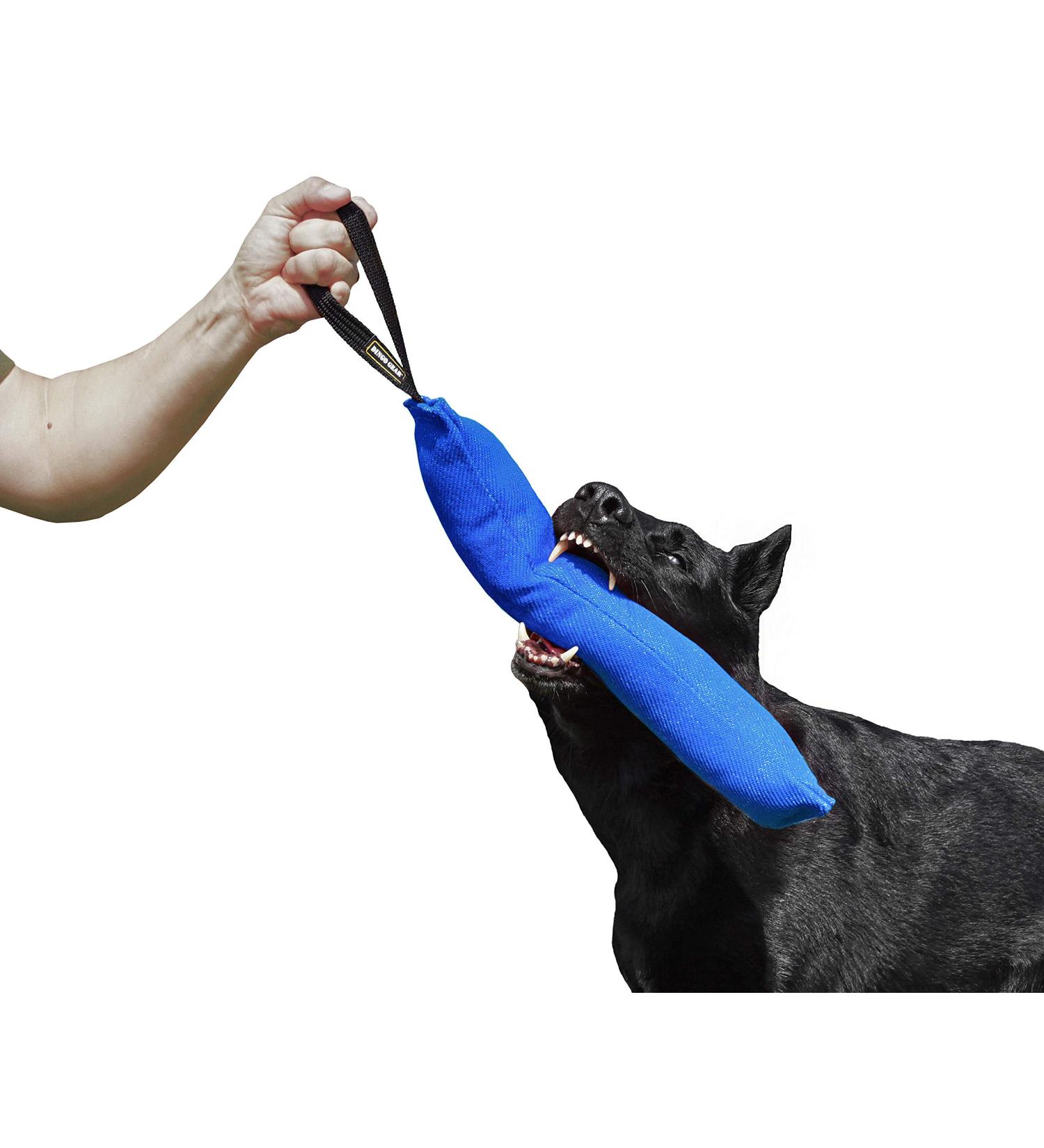 Dingo Gear Cotton Nylon Bite Sausage for Dog Training | IGP IPO Obedience & Protection Sport - 45x8 cm Blue - Buy Online on GoSupps.com