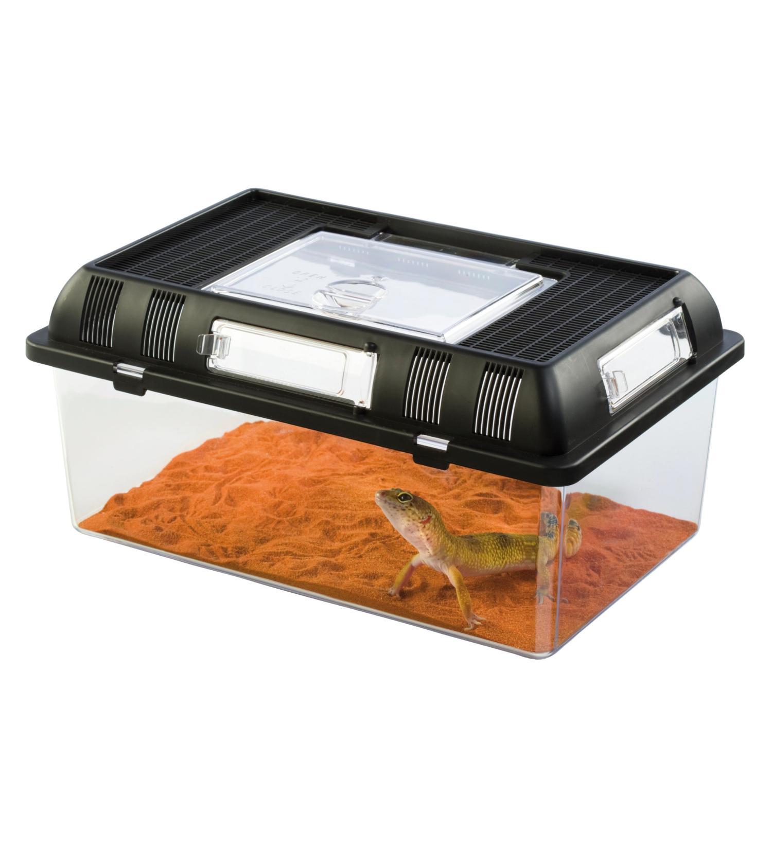 Exo Terra Breeding Box Medium - Ideal for Multi-Species Enclosure - Buy Online on GoSupps.com