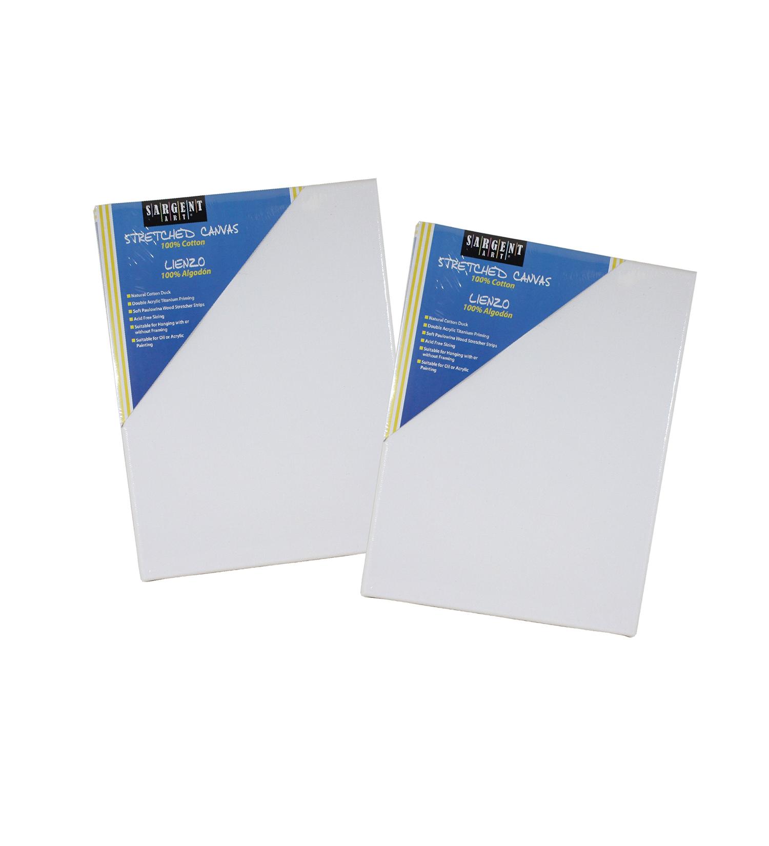 Sargent Art Value Pack Stretched Canvas 16 x 20 Inch (Pack of 2) Double Acrylic Titanium Priming Perfect for Acrylic Oil and Art Projects Acrylic Pouring & Wet Media