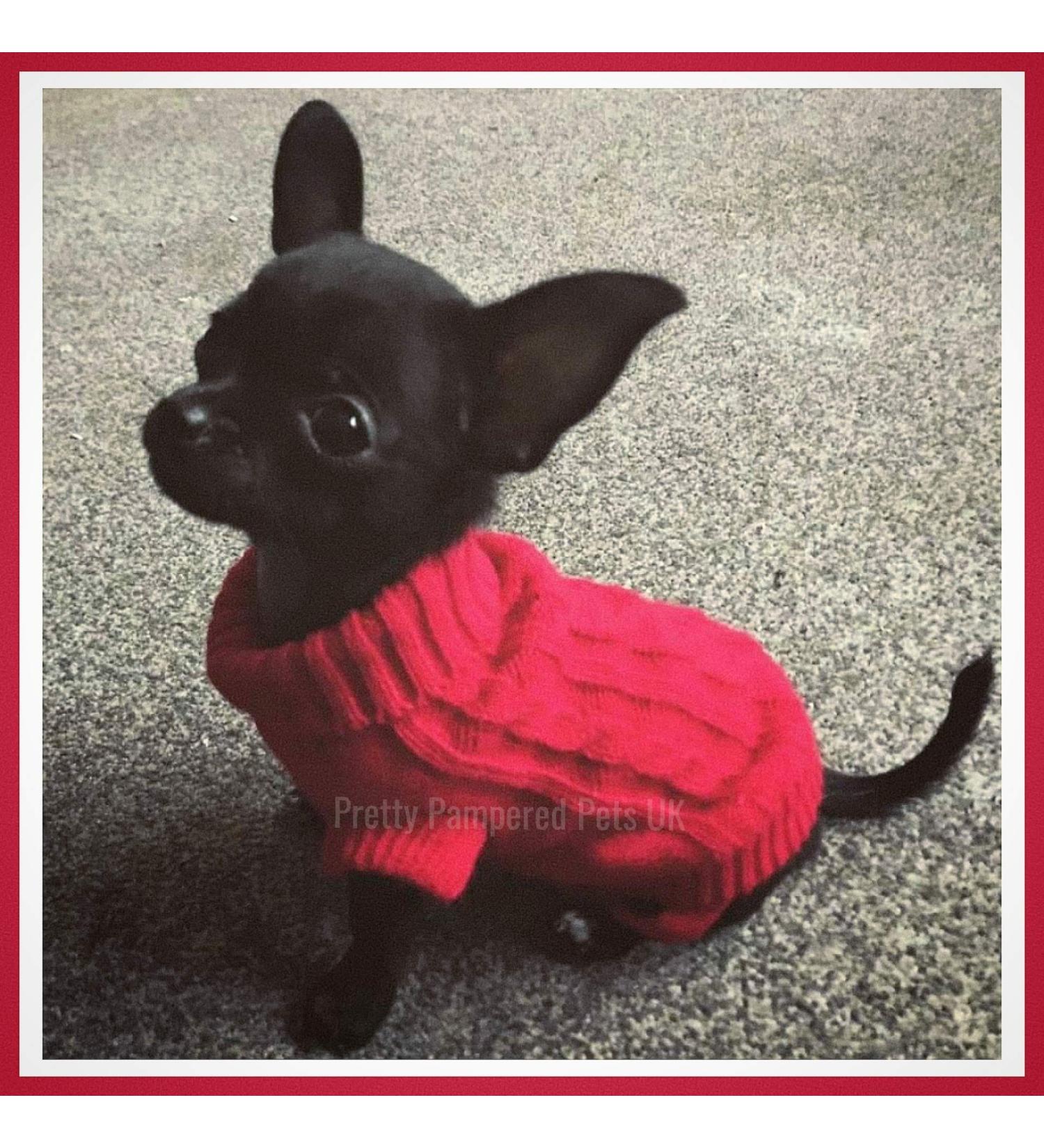 Chihuahua Clothes Puppy Dog Coat Knit Jumper Cosy Teacup Smaller Breeds XXXS Tiny Toy Miniature Dogs (XXXS RED) 3XS (Pack of 1) - RED - Buy Online on GoSupps.com