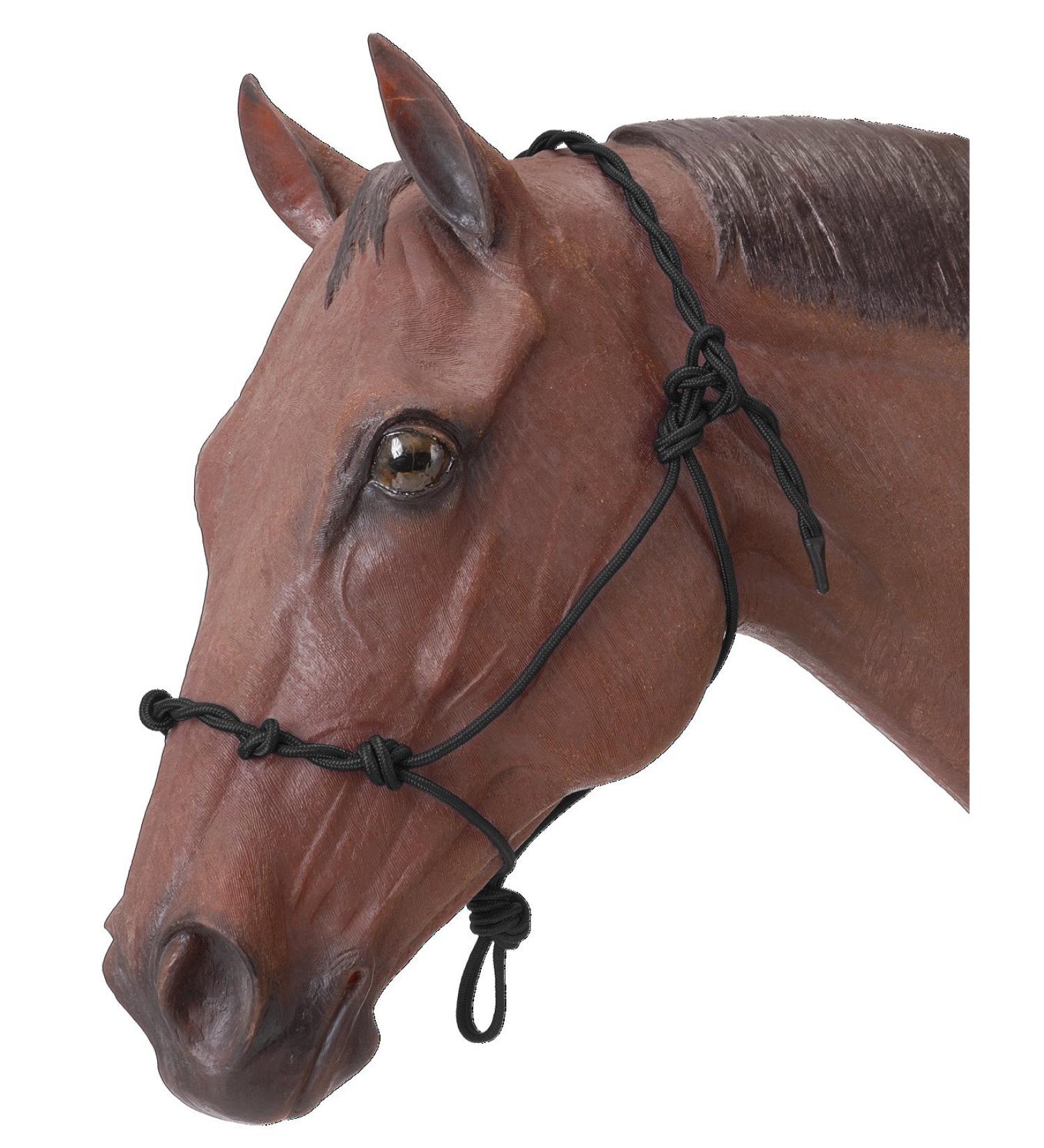 Tough 1 Knotted Rope & Twisted Crown Training Halter Black