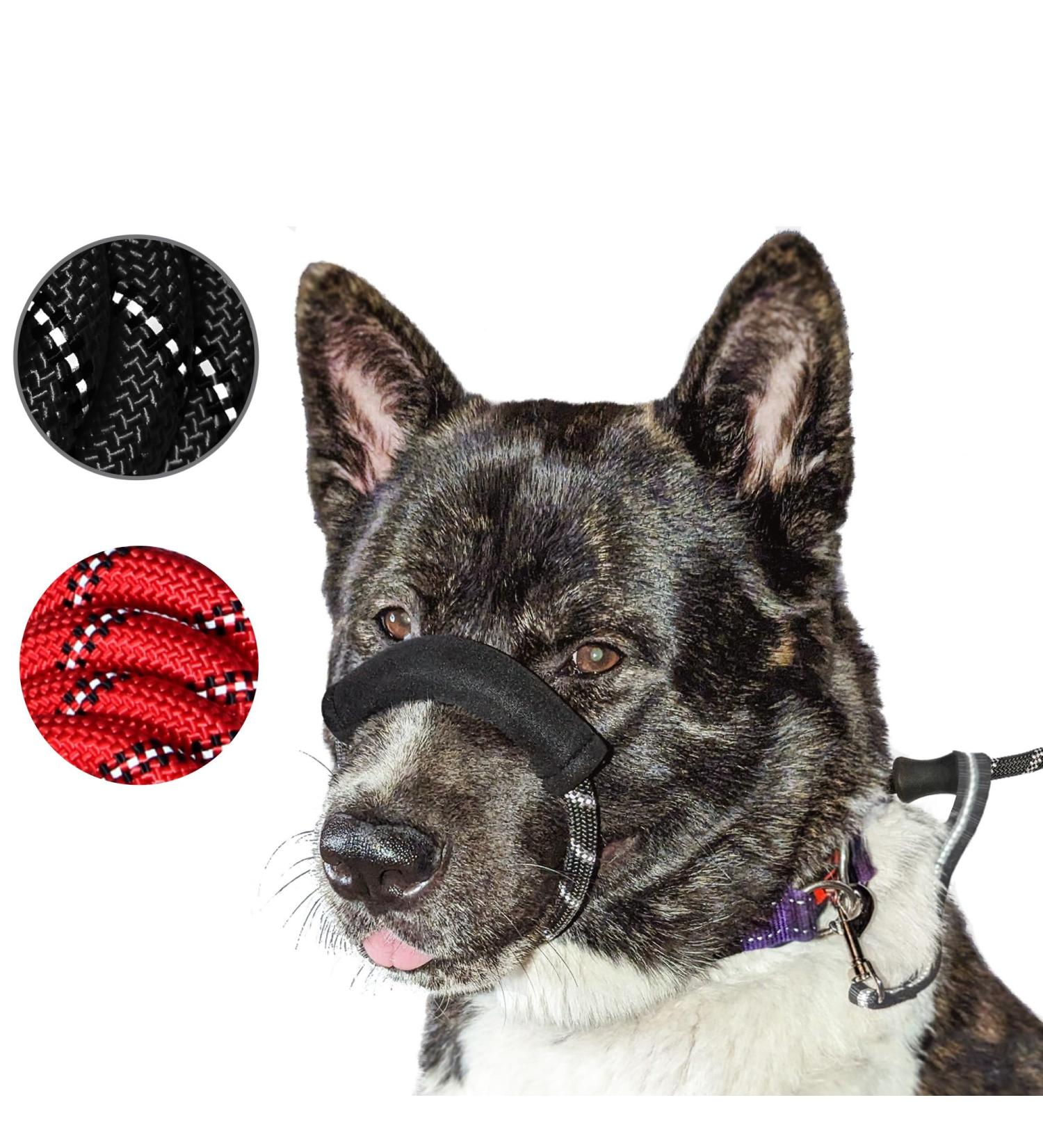 JACXO Figure of 8 Dog Lead With Padded Nose Loop - Anti Pull Dog Lead Stop Dog's Pulling - Strong Rope Slip Lead for Dogs with Soft Handle For Extra Comfort (185cm Black) Figure Of 8 lead / 185cm Black - Buy Online on GoSupps.com