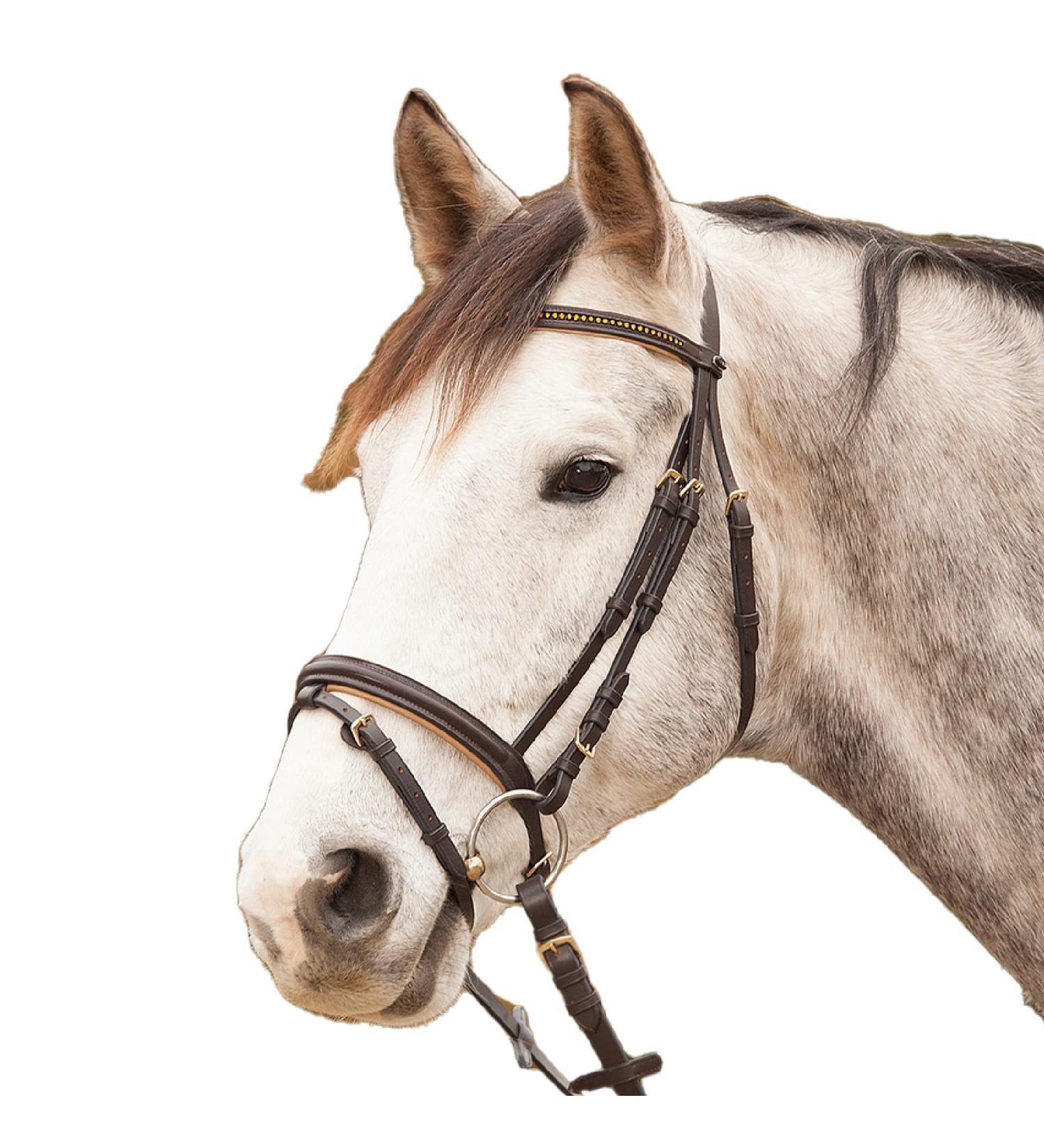 Buy Star WALDHAUSEN Bridle Diamond Brown for Warmbloods | Premium Quality Equestrian Gear Worldwide Shipping - Buy Online on GoSupps.com