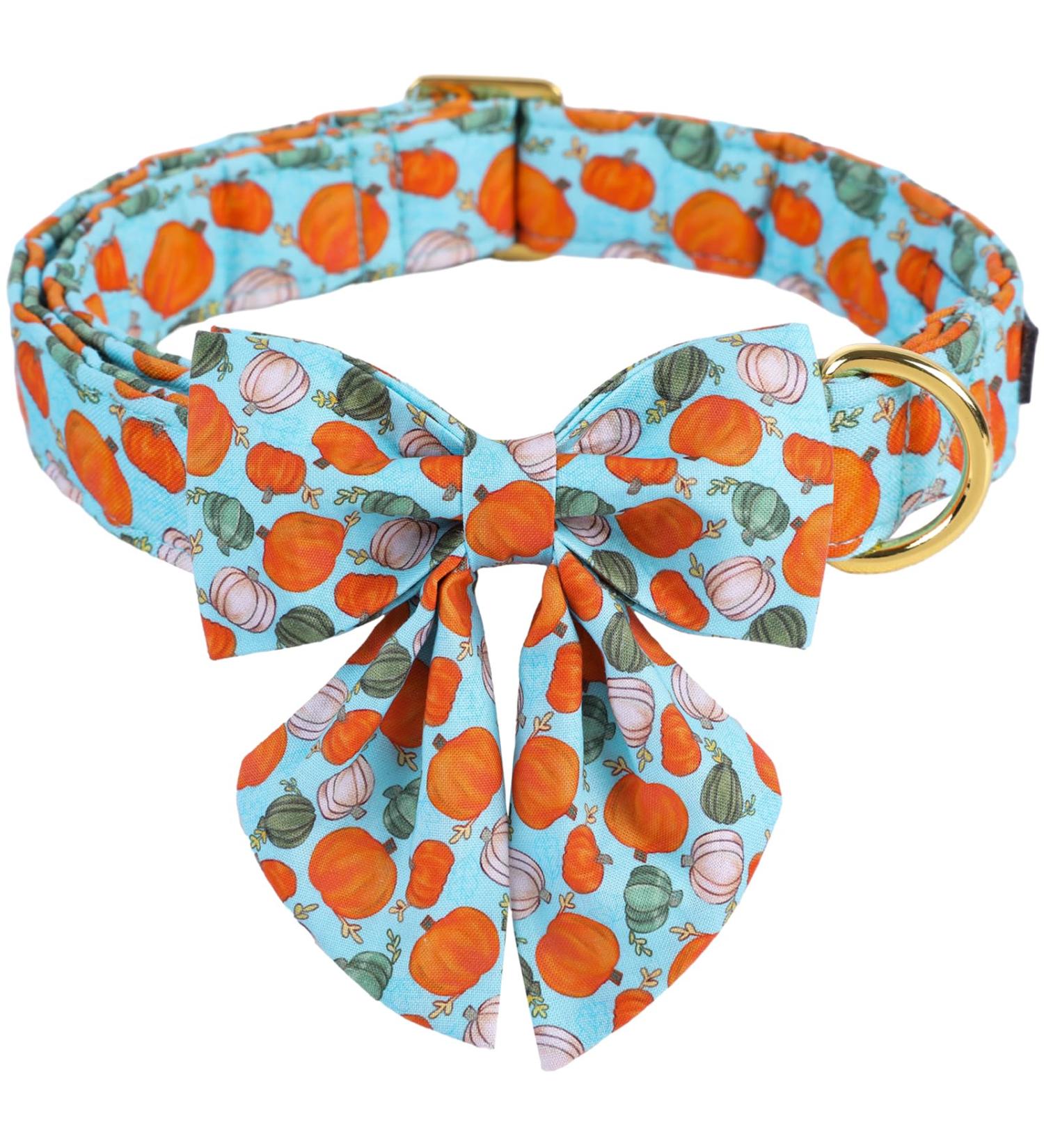 Cute Adjustable Blue Pumpkin Dog Collar for Halloween - XL Pack of 1 | Pet Hall Band - Buy Online on GoSupps.com
