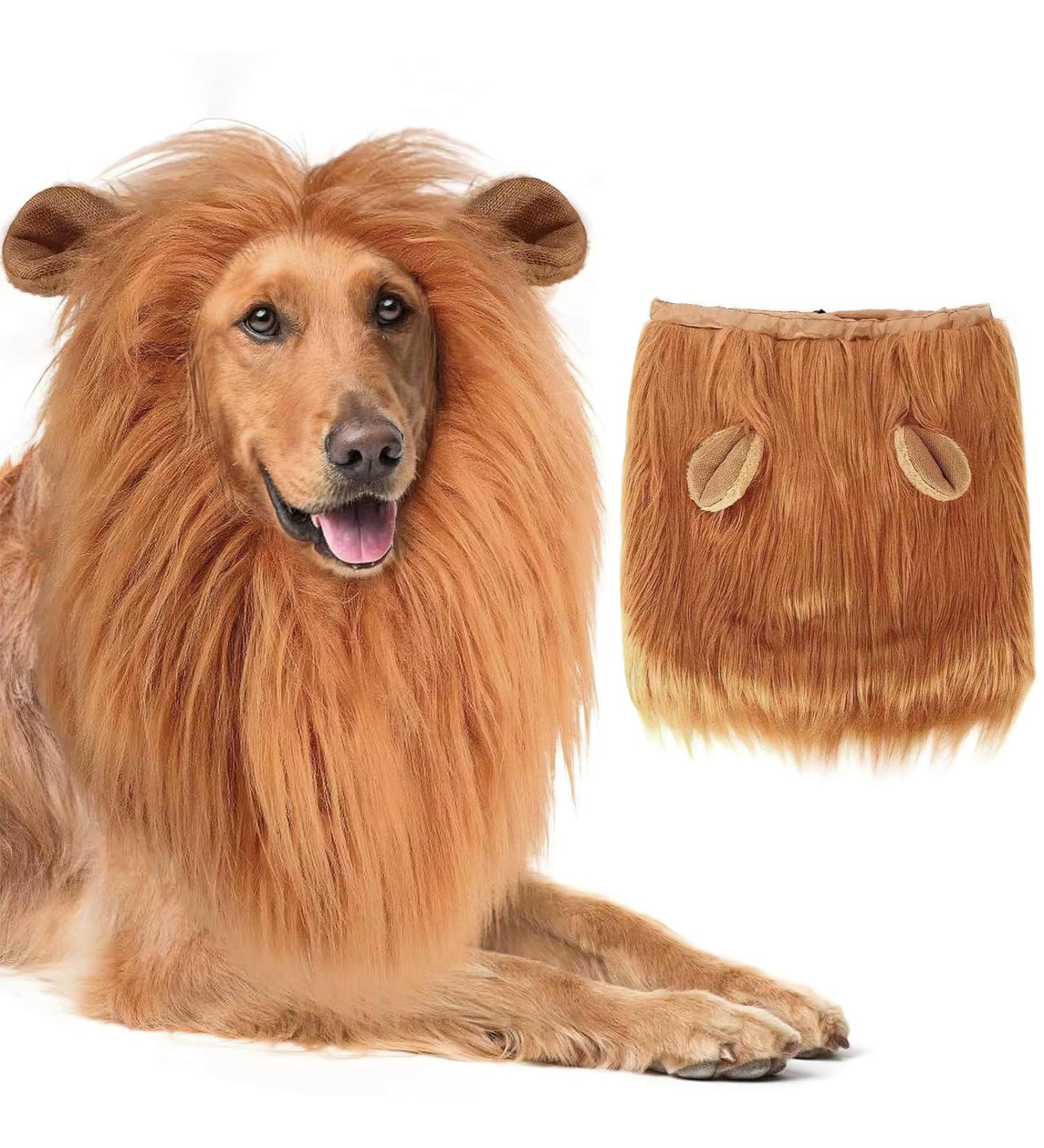 Shop Lion Mane Dog Costume - Perfect for Medium to Large Dogs & Cats | International Shipping Available - Buy Online on GoSupps.com