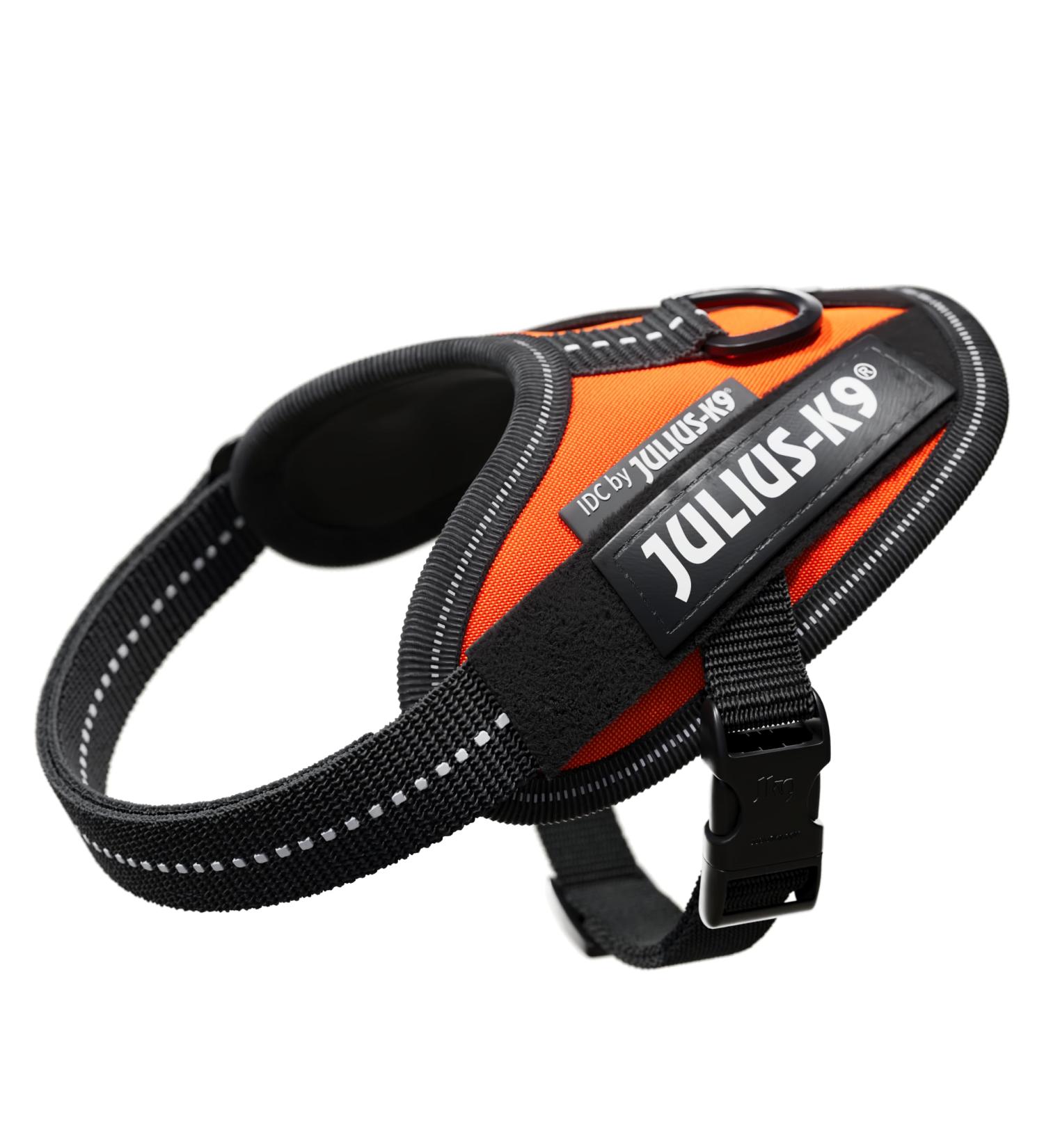Buy IDC Powerharness 3XS/Baby 1 - UV Orange | International Shipping Available - Buy Online on GoSupps.com