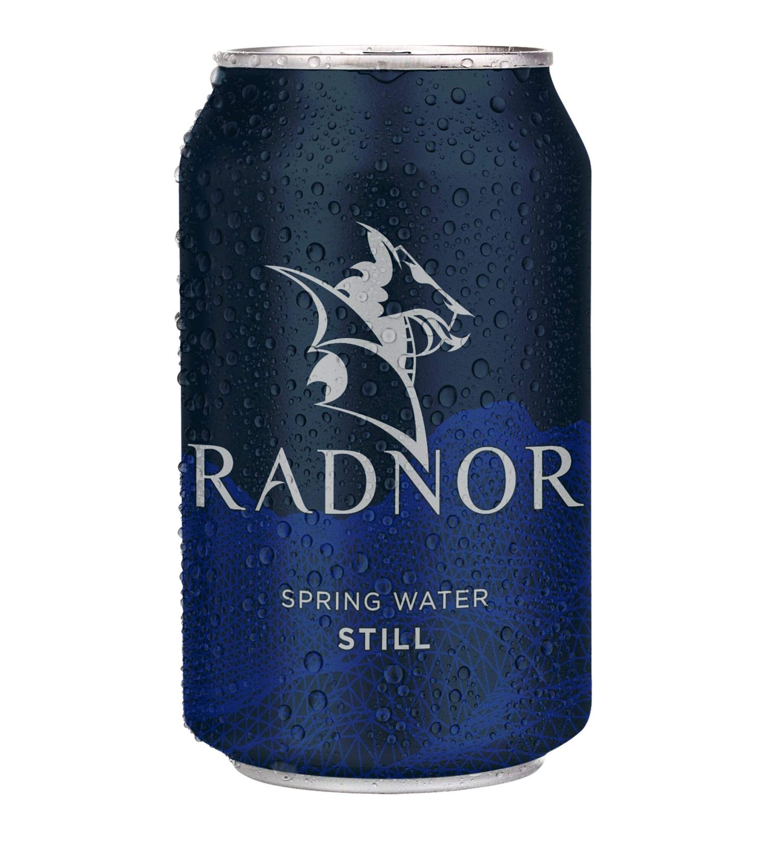 Radnor Hills Still Spring Water Cans - 24x330ml Sparkling Water 330 ml (Pack of 24)